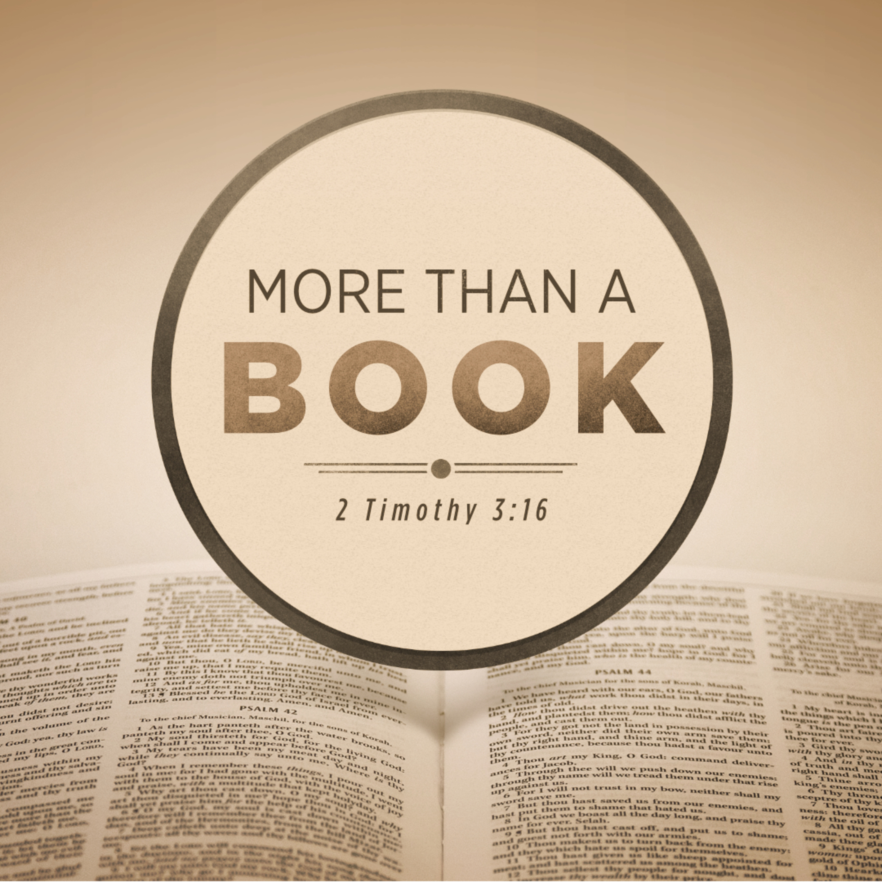 More Than a Book episode artwork