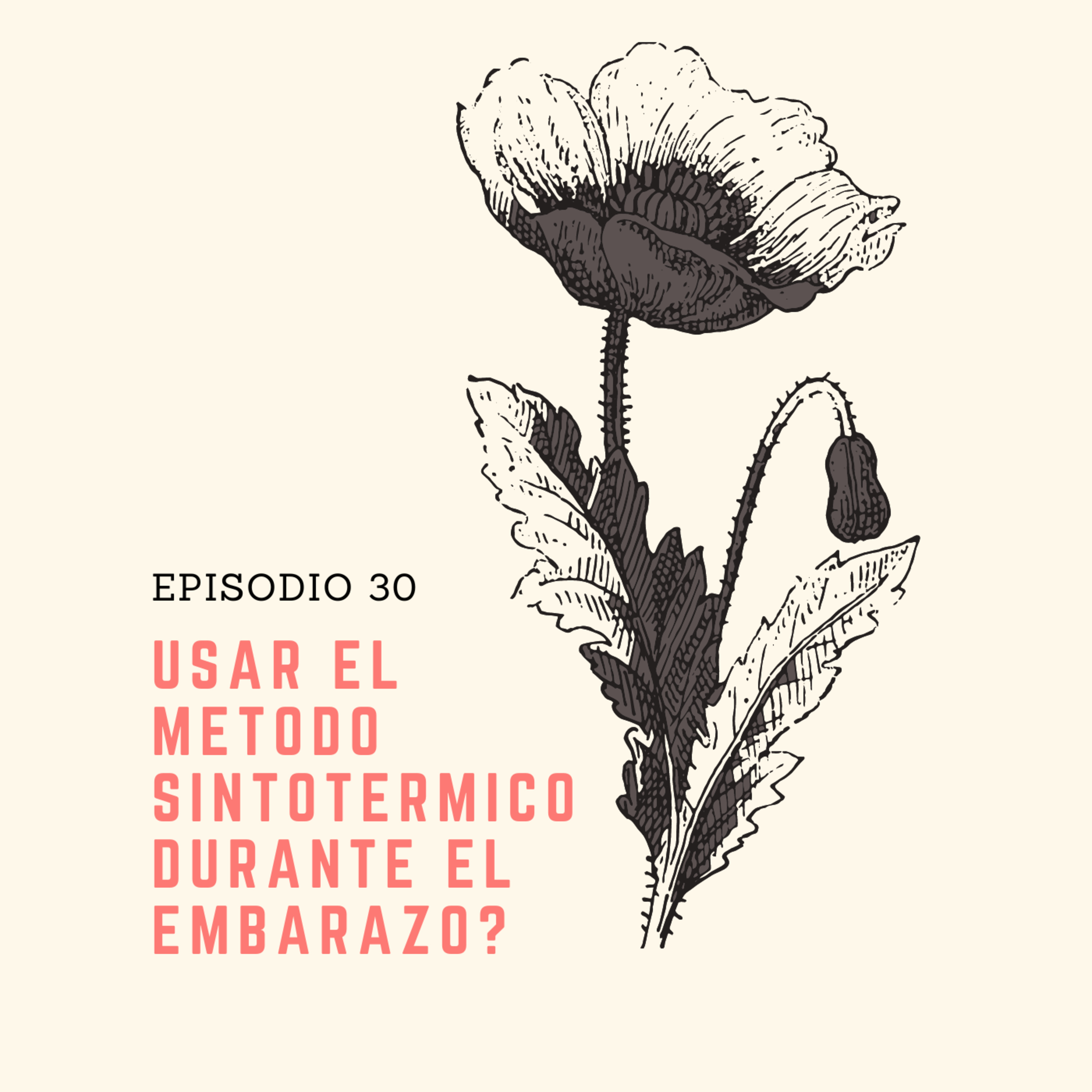 30 ¿Usar el método sintotérmico durante el embarazo?