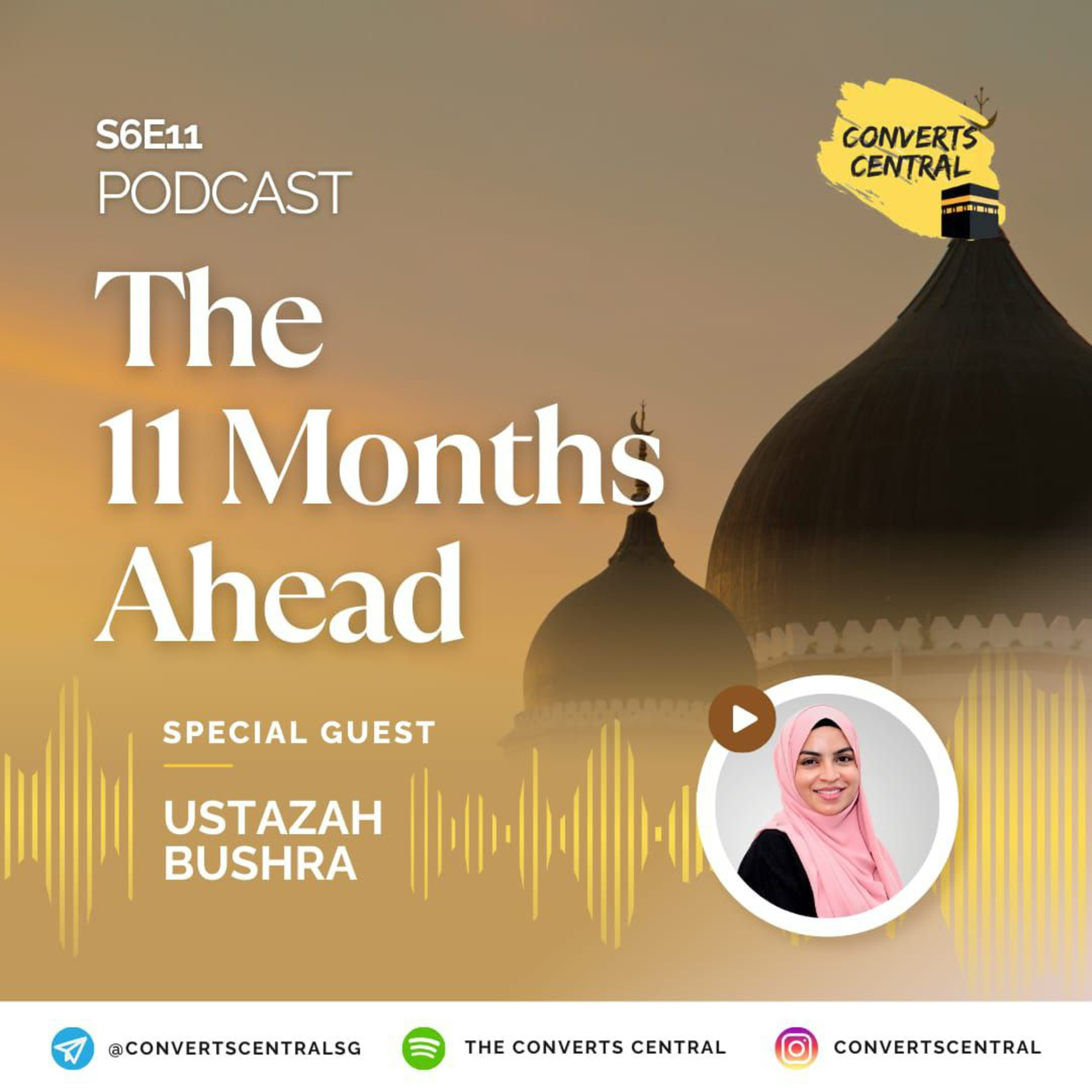 S6E11: The 11 Months Ahead