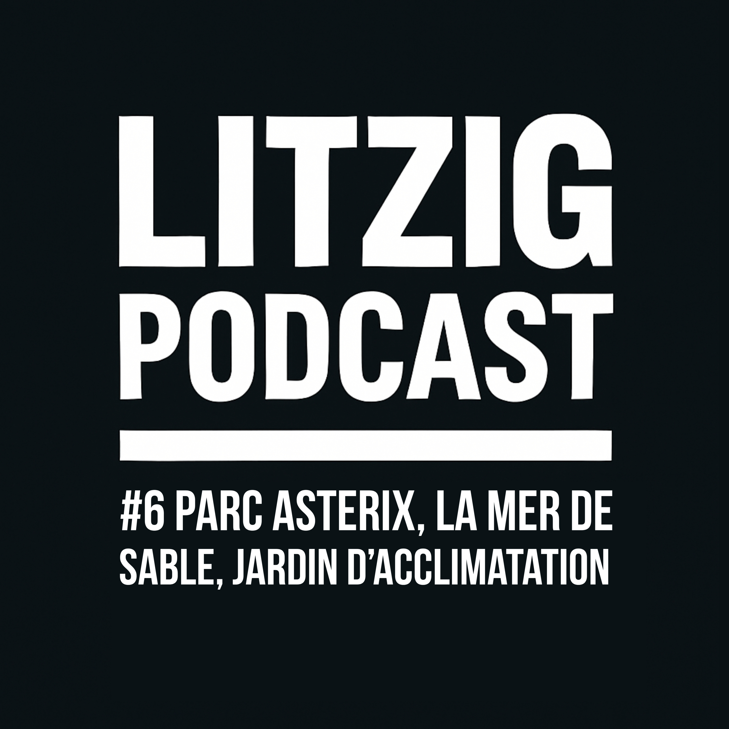Litzig Podcast