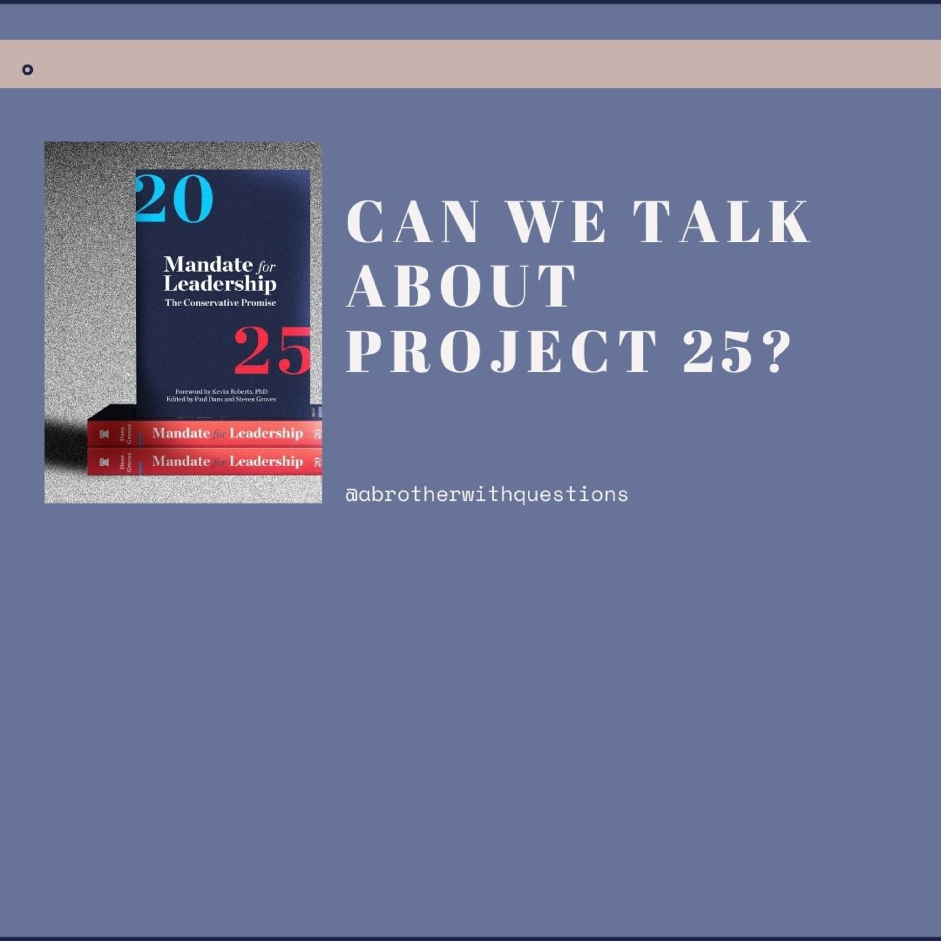 Can we talk about Project 2025?