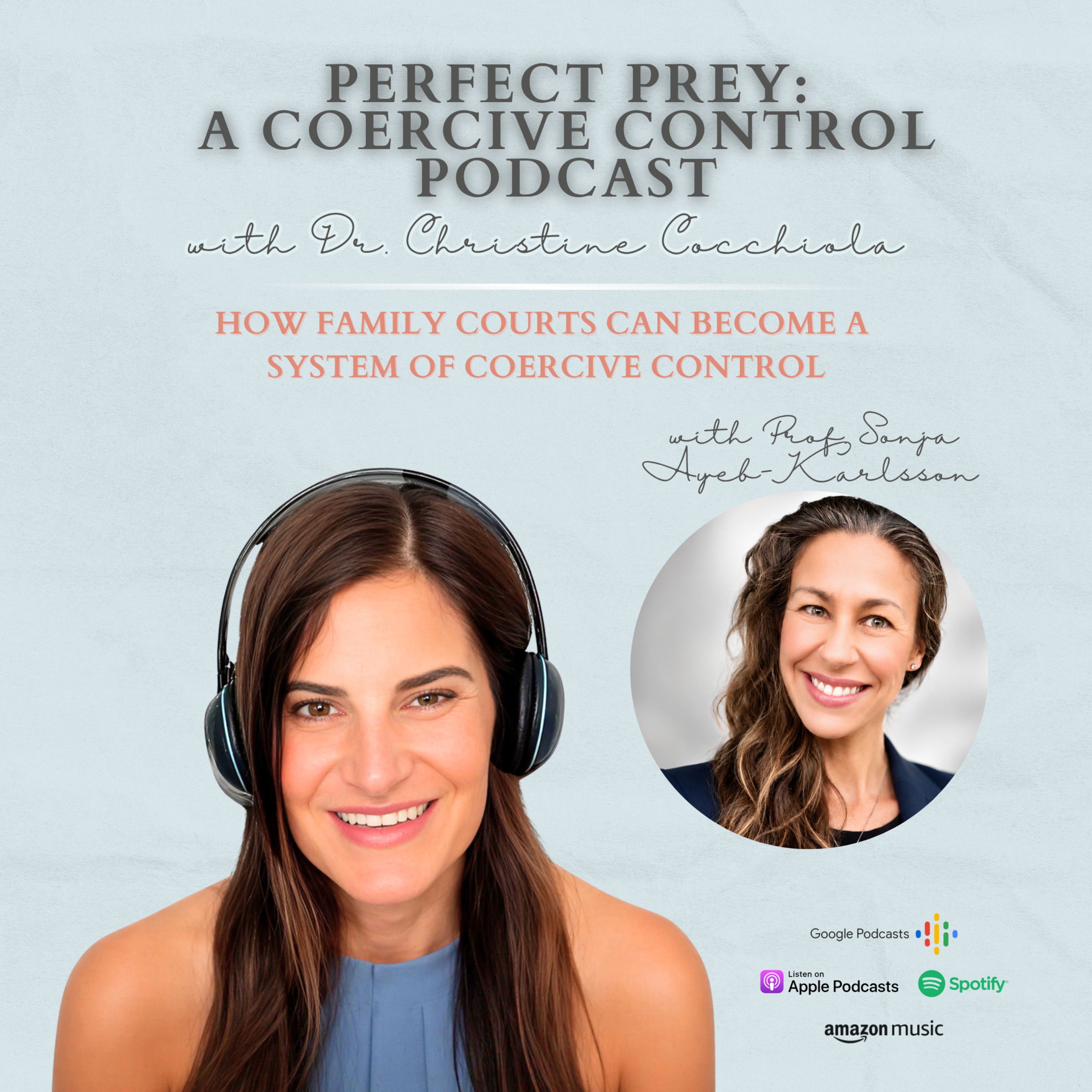 How Family Courts Can Become a System of Coercive Control with Prof. Sonja Karlsson