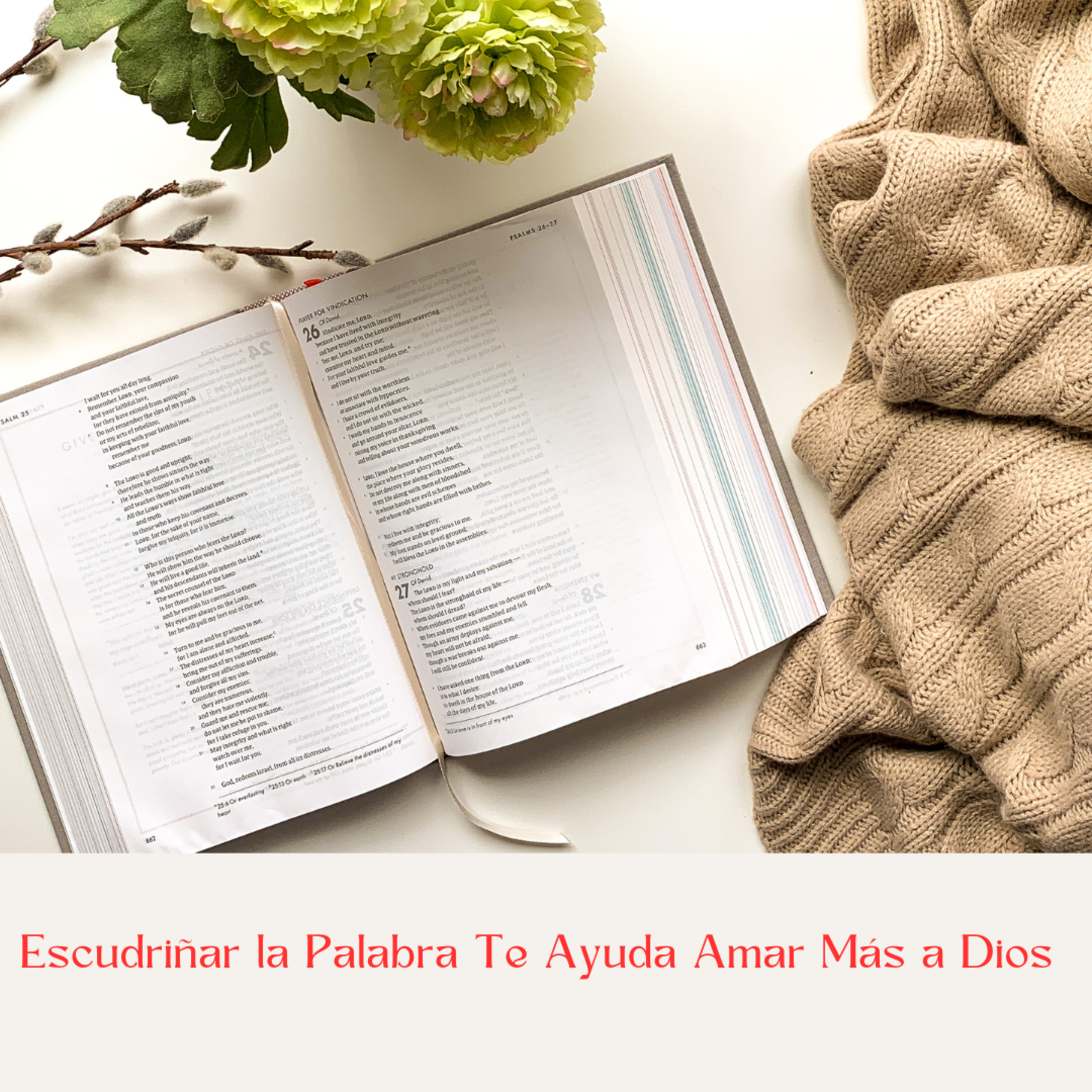 El Rinconcito del Amor de Dios