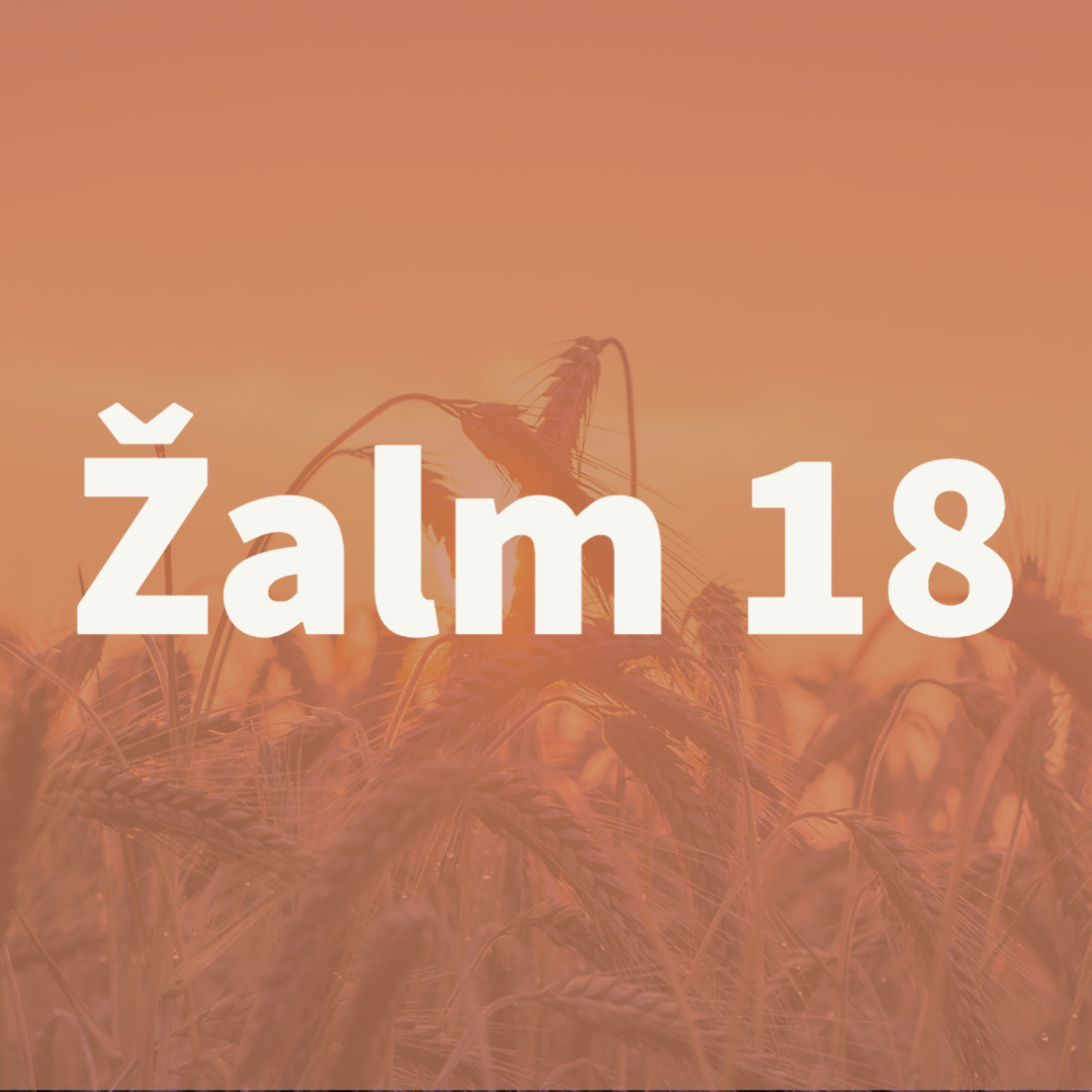 Žalm 18, 2-3 - "Osloboditeľ môj" :: Víťazstvo je v tvojom srdci episode artwork
