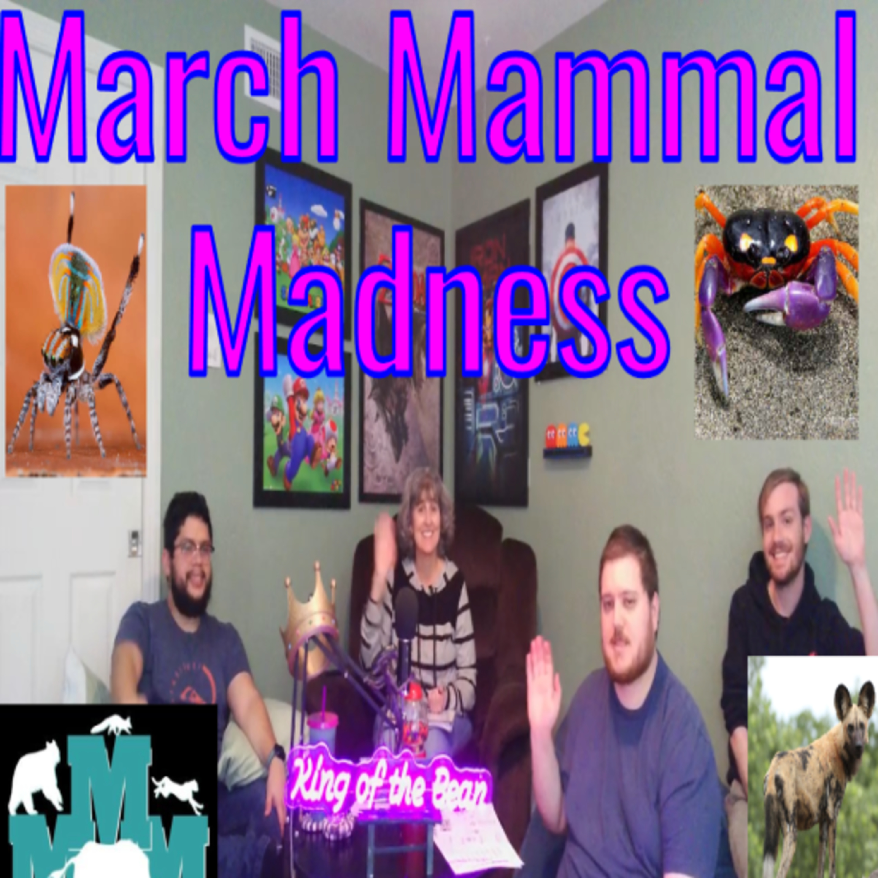 Episode 36 - March Mammal Madness episode artwork