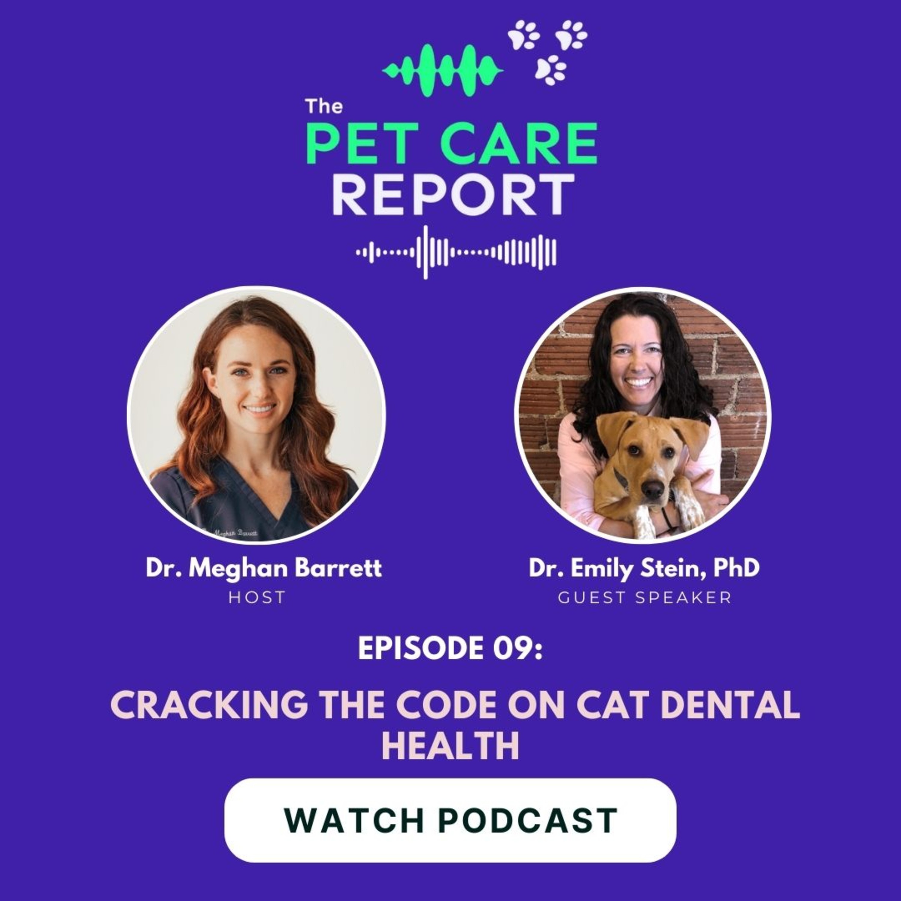 The Pet Care Report
