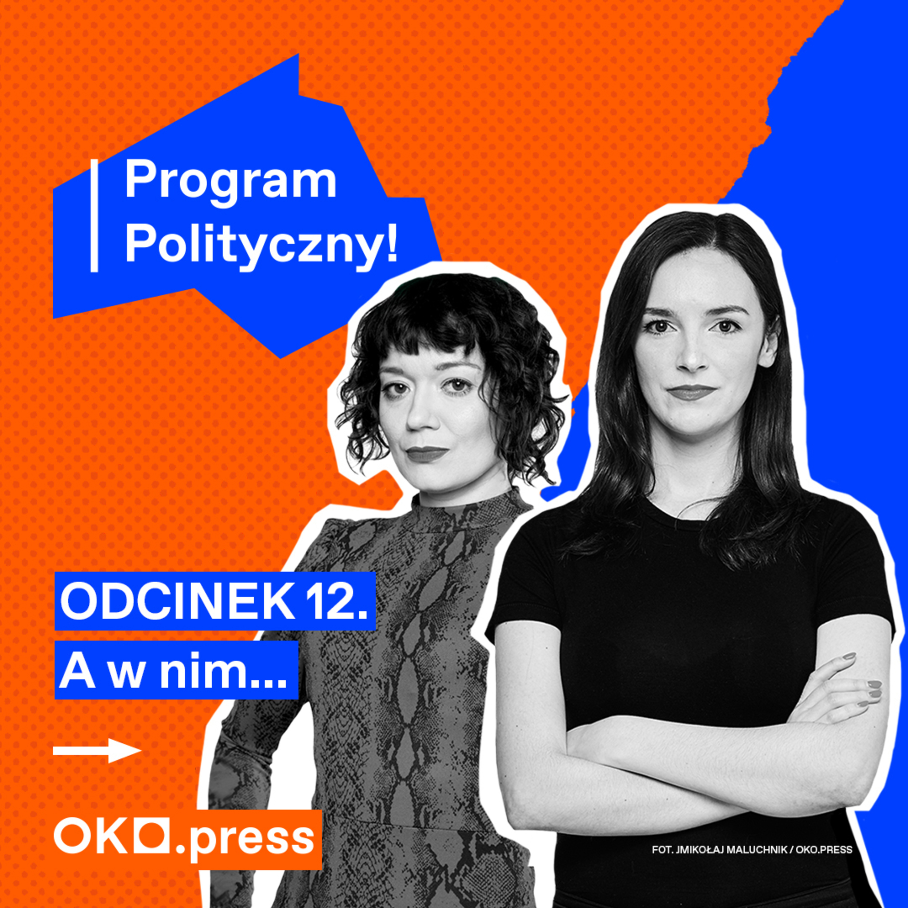 Program Polityczny