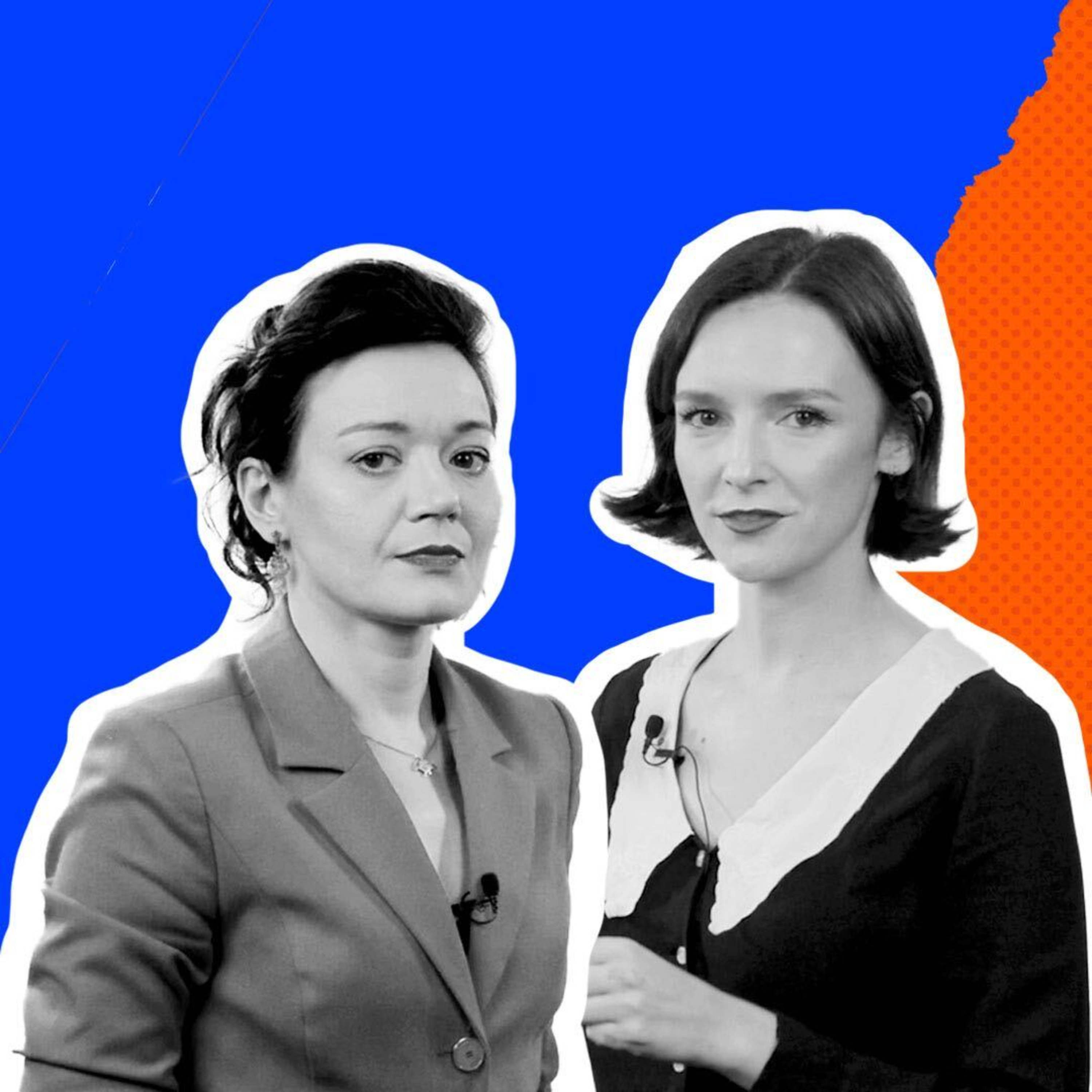 Program Polityczny