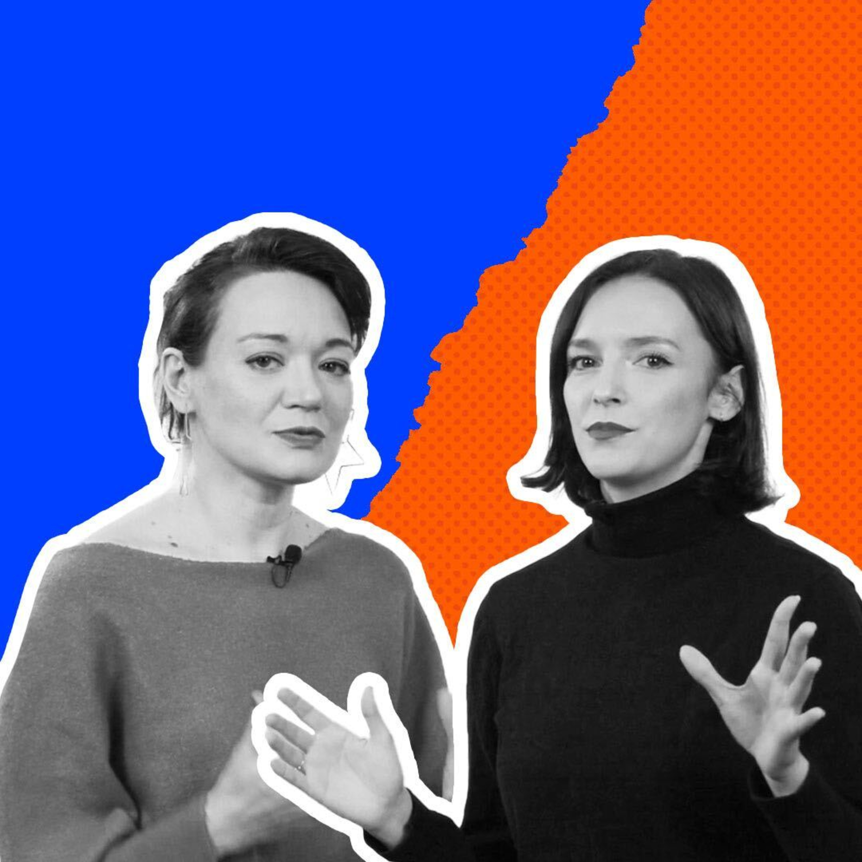 Program Polityczny