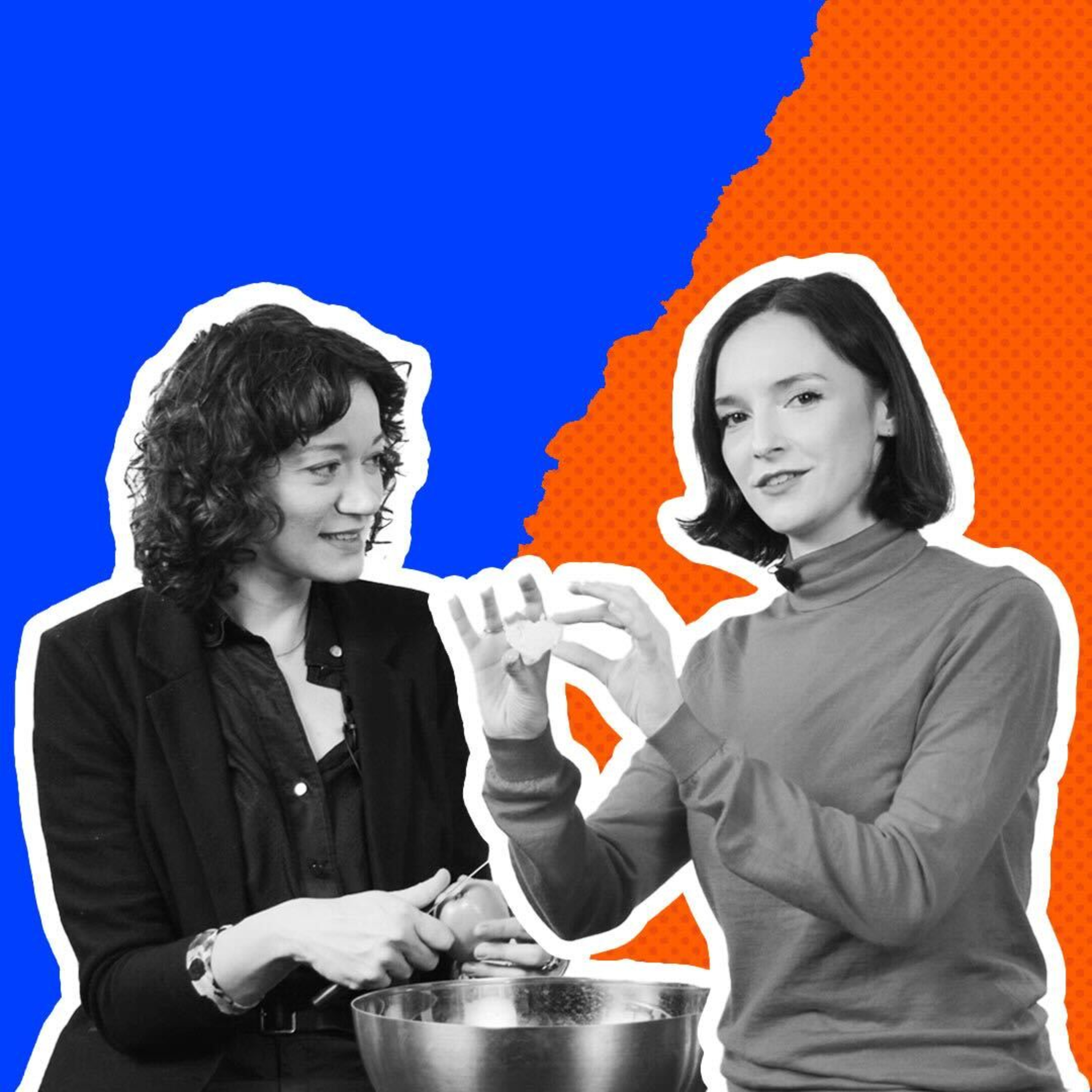 Program Polityczny