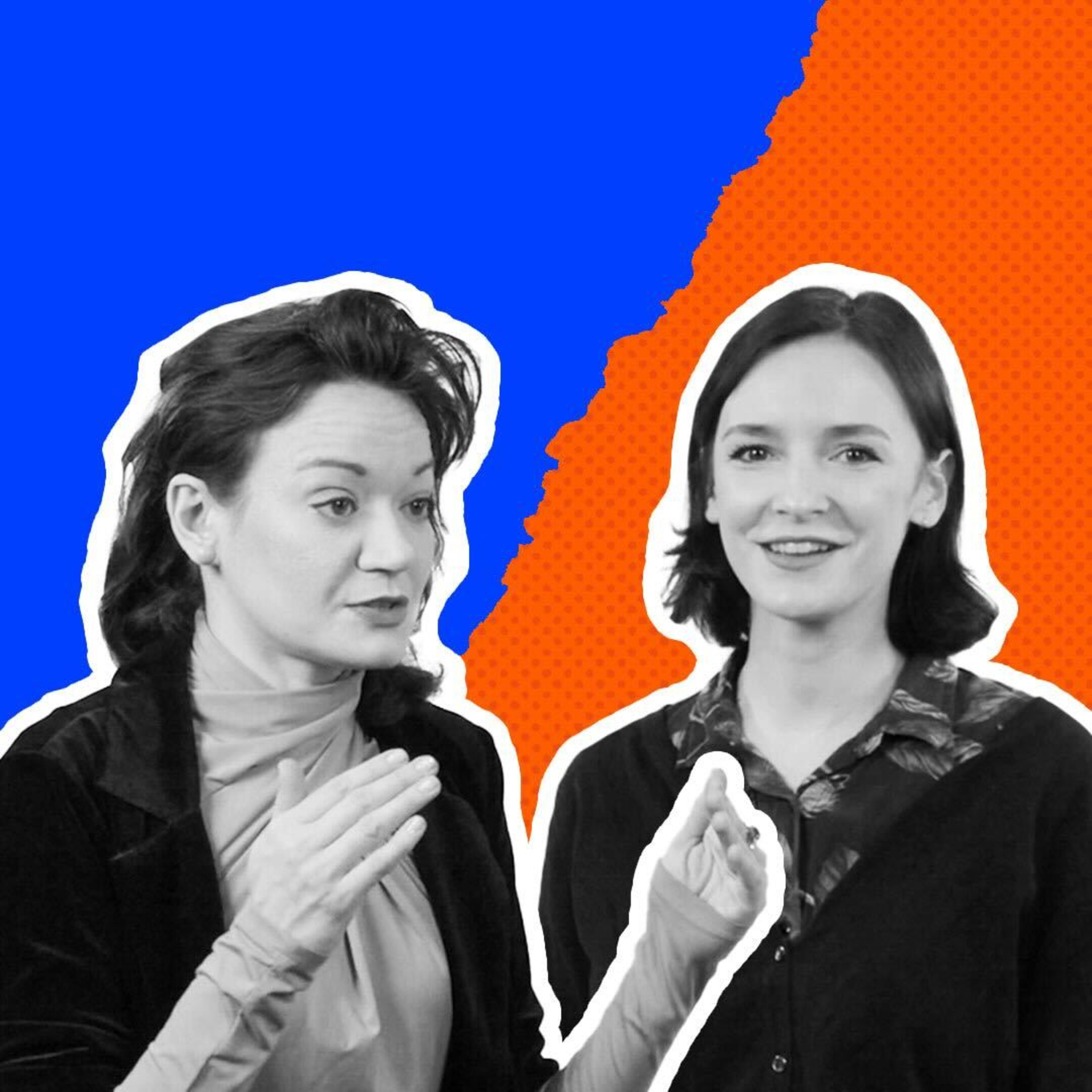 Program Polityczny