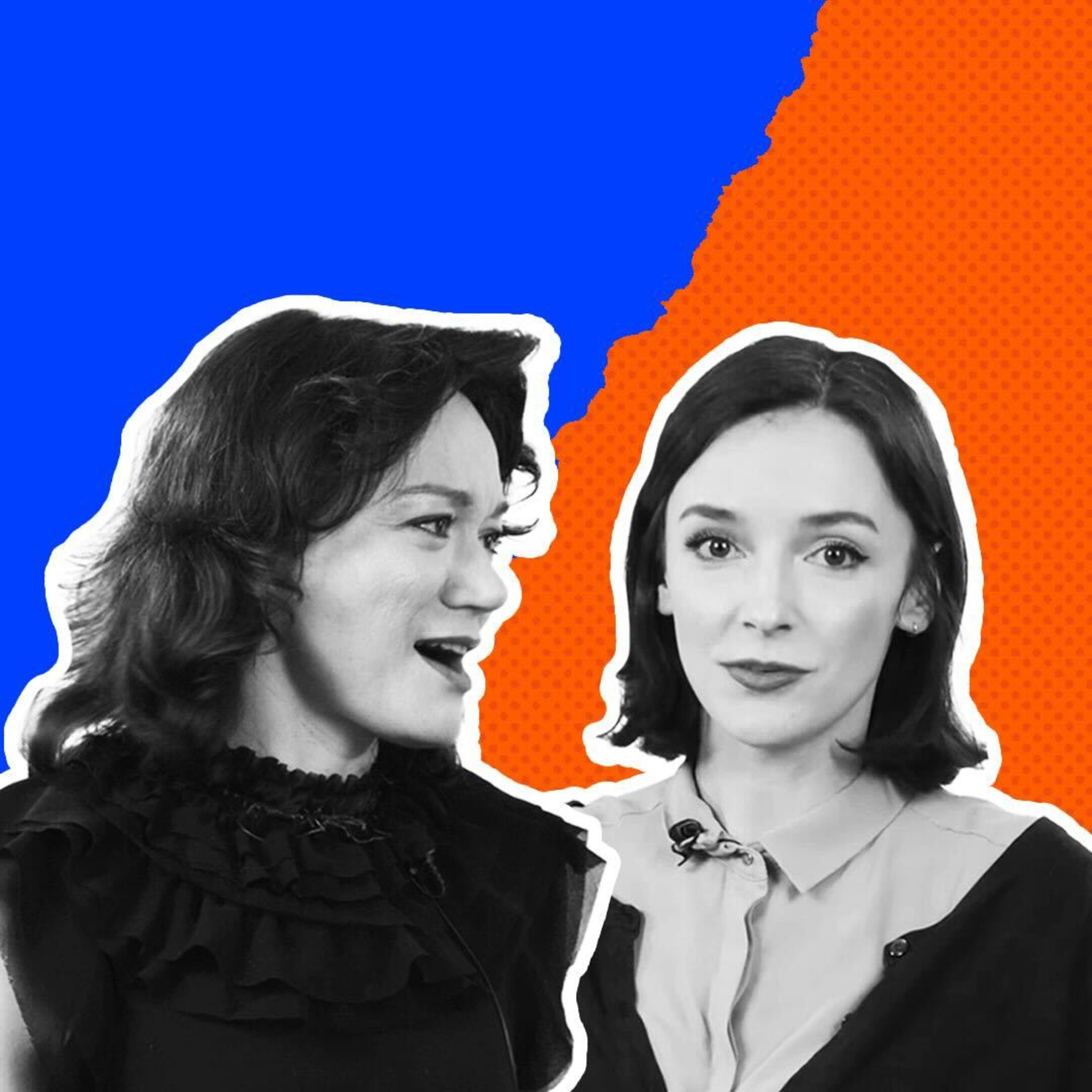 Program Polityczny