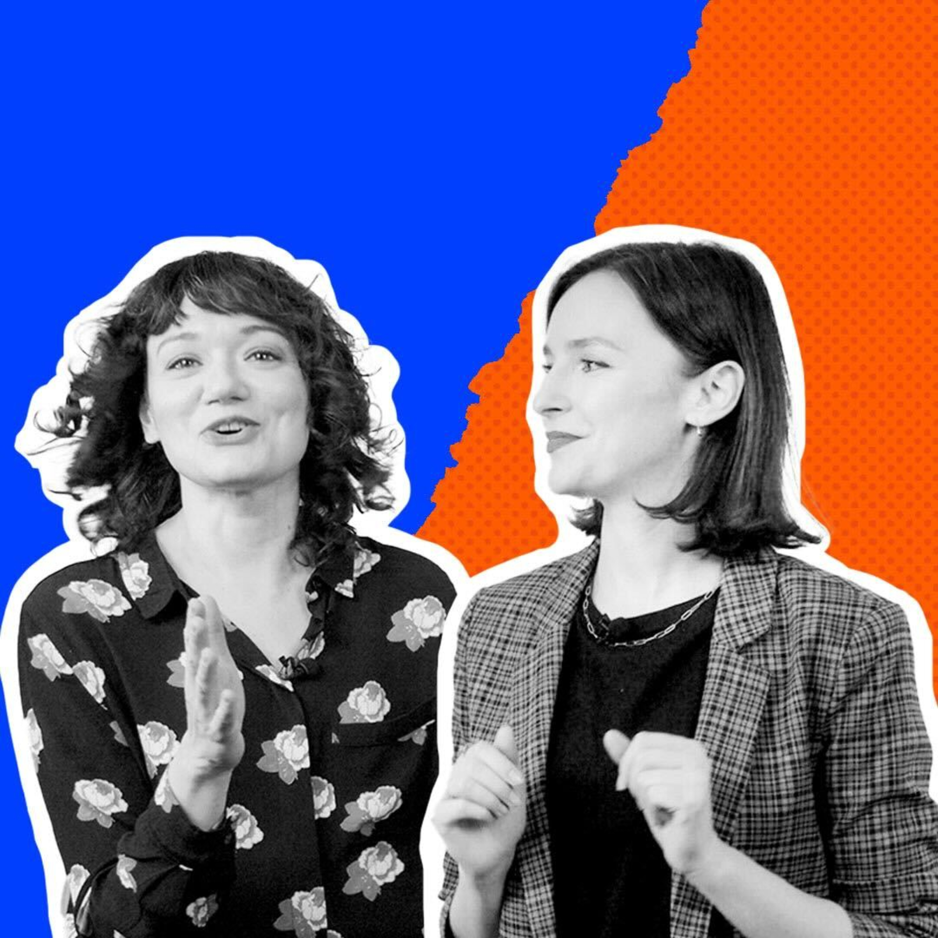 Program Polityczny