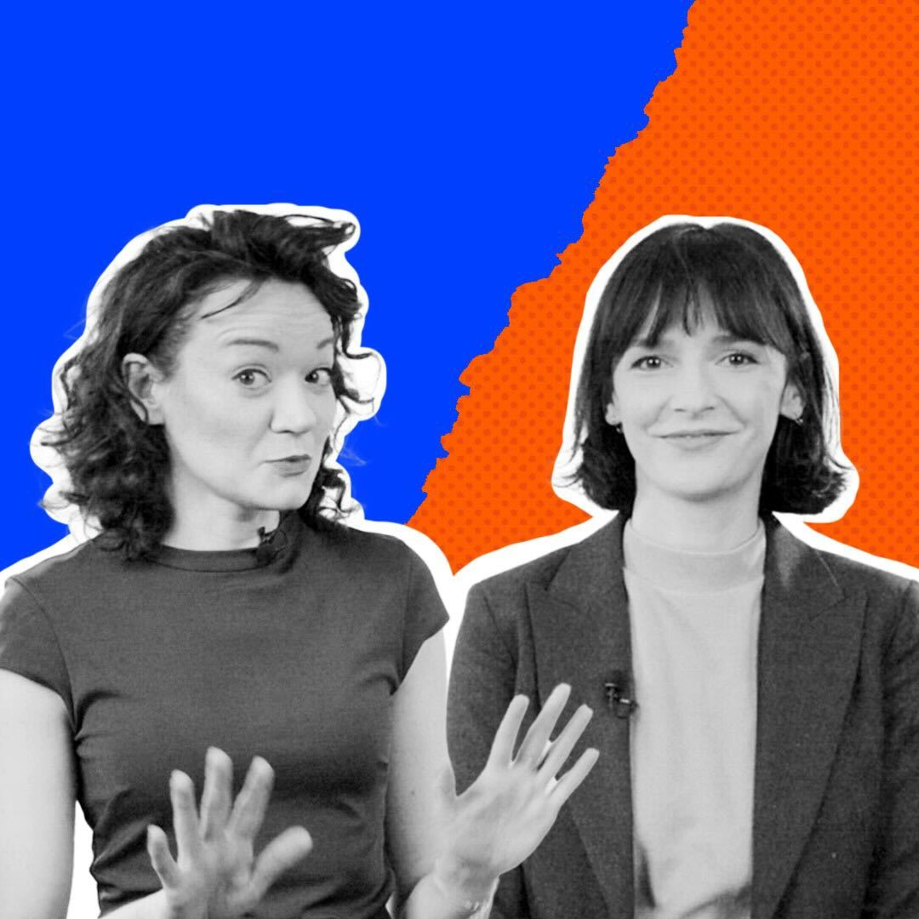 Program Polityczny