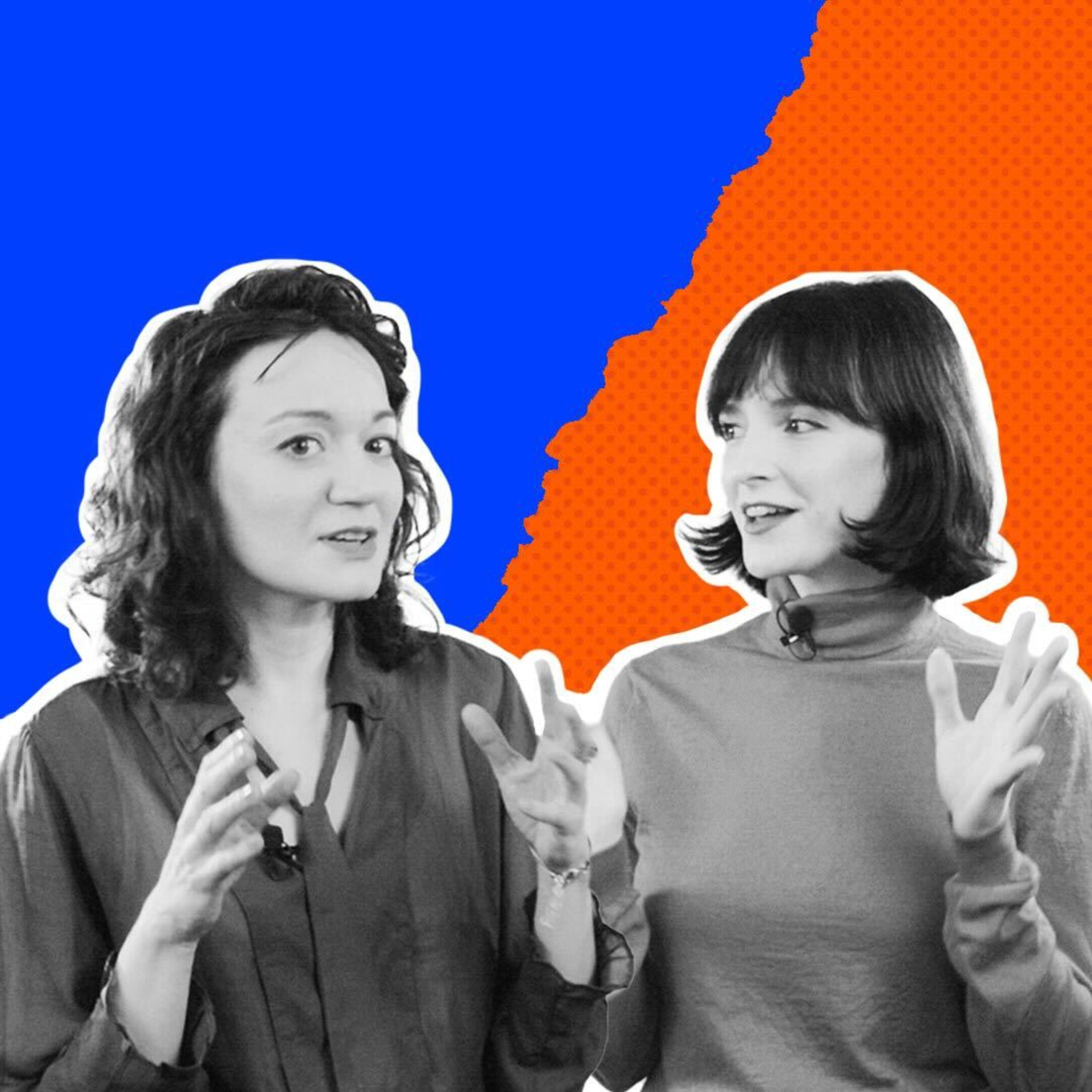 Program Polityczny