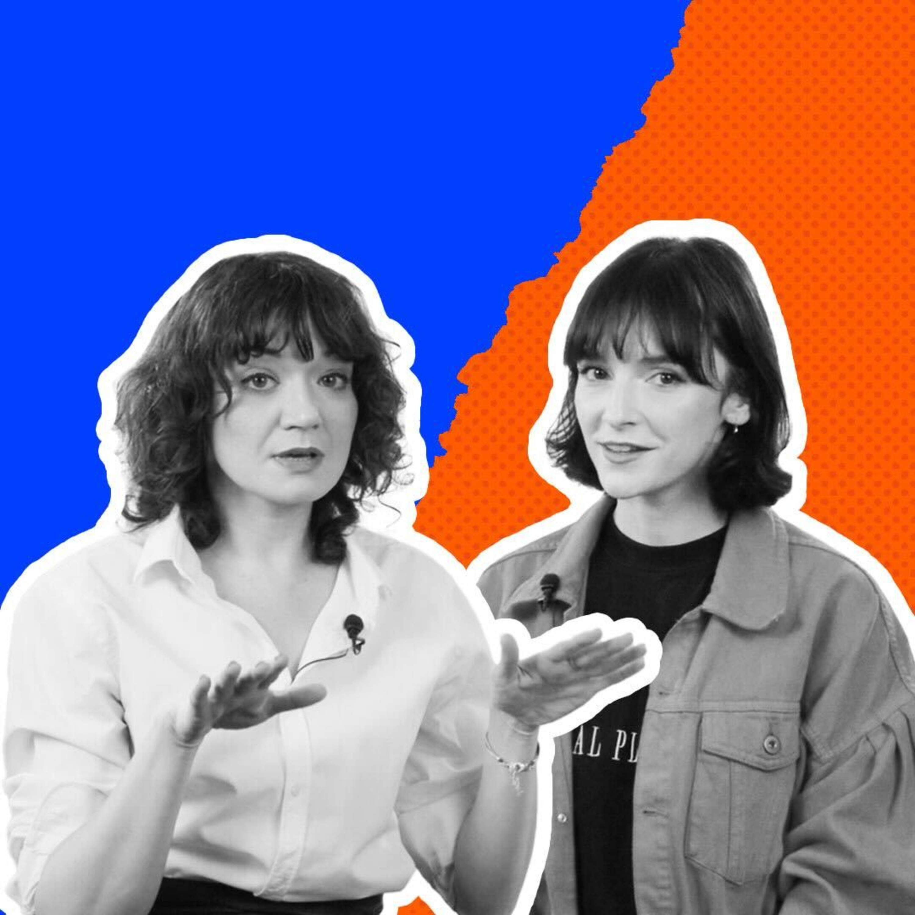 Program Polityczny