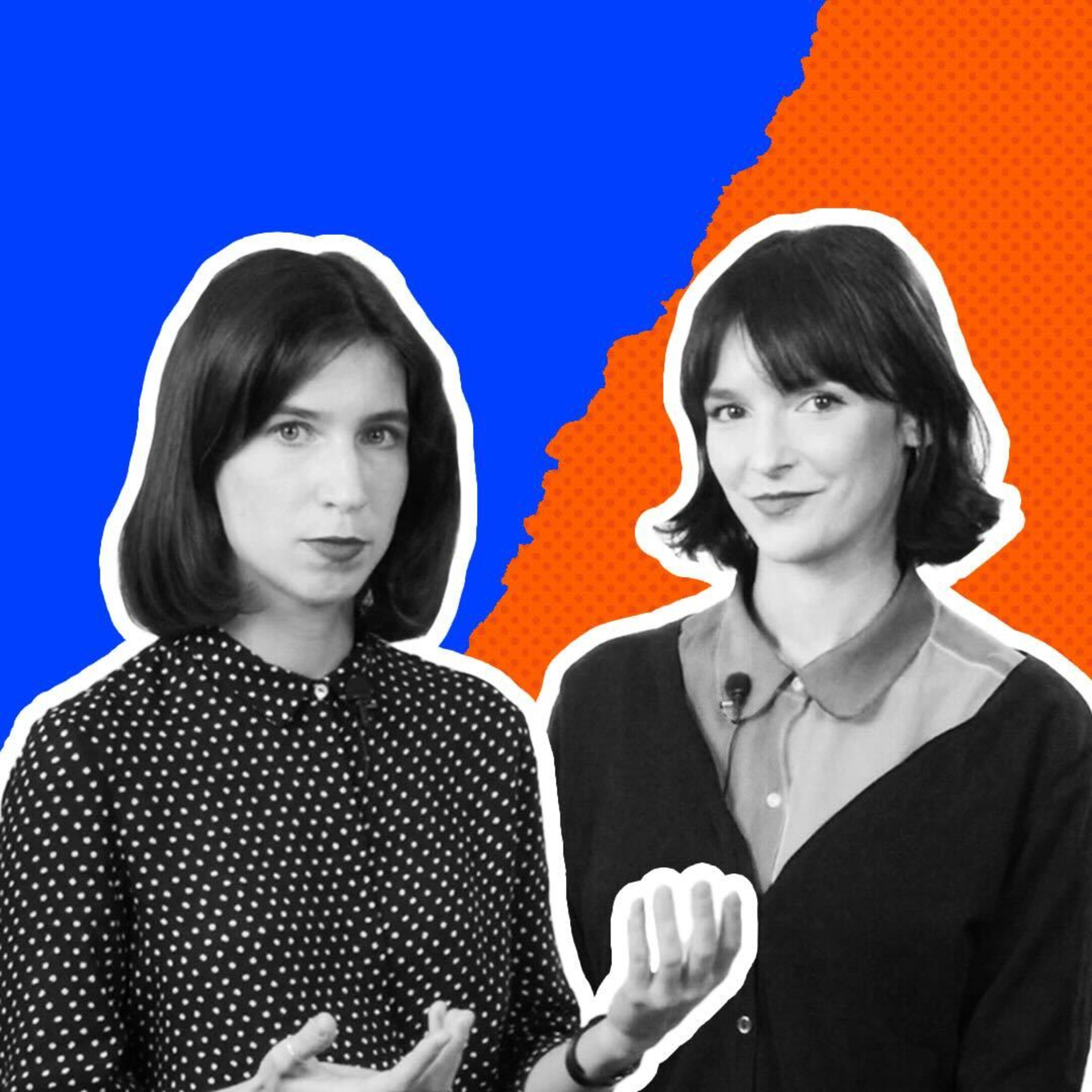 Program Polityczny