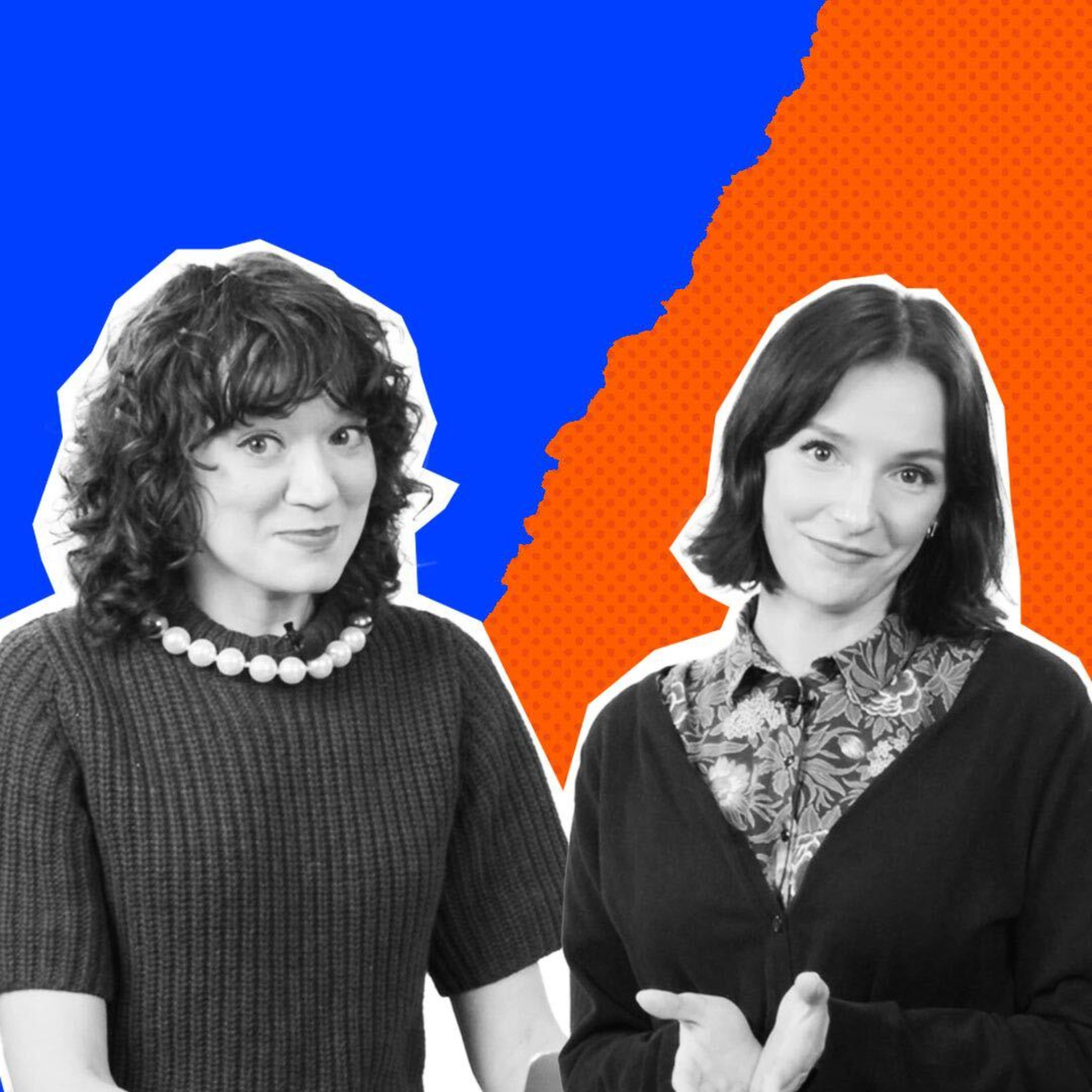 Program Polityczny