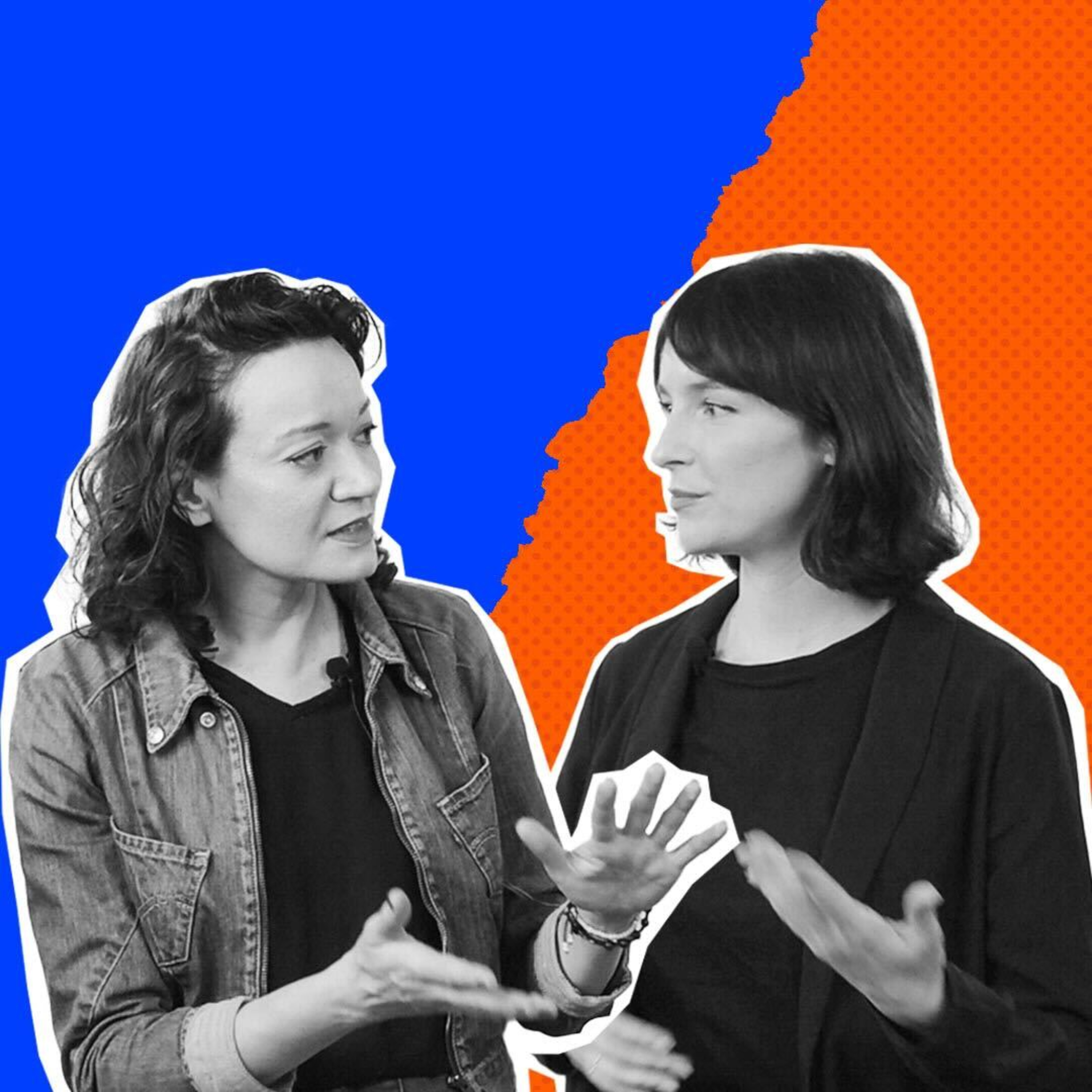 Program Polityczny