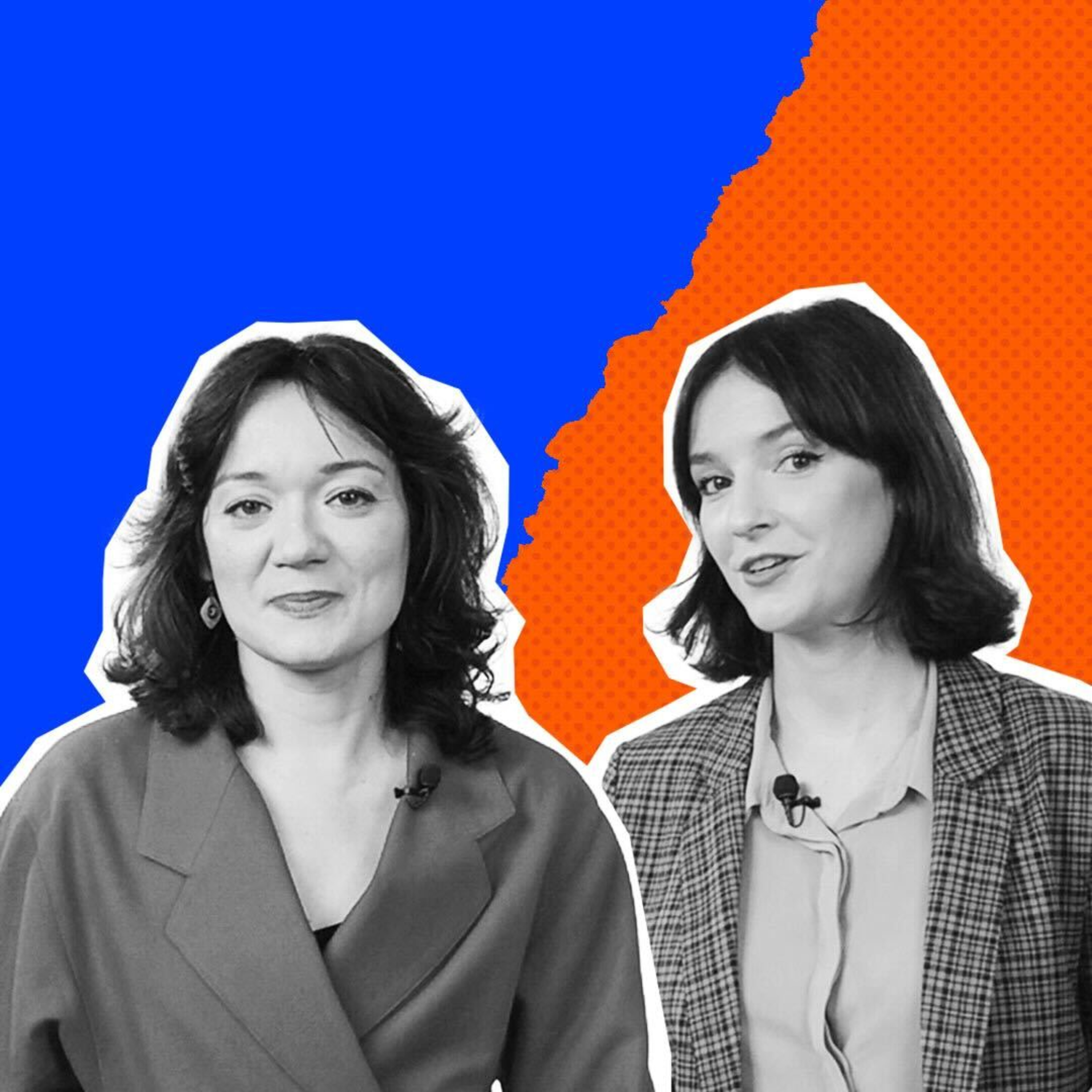 Program Polityczny