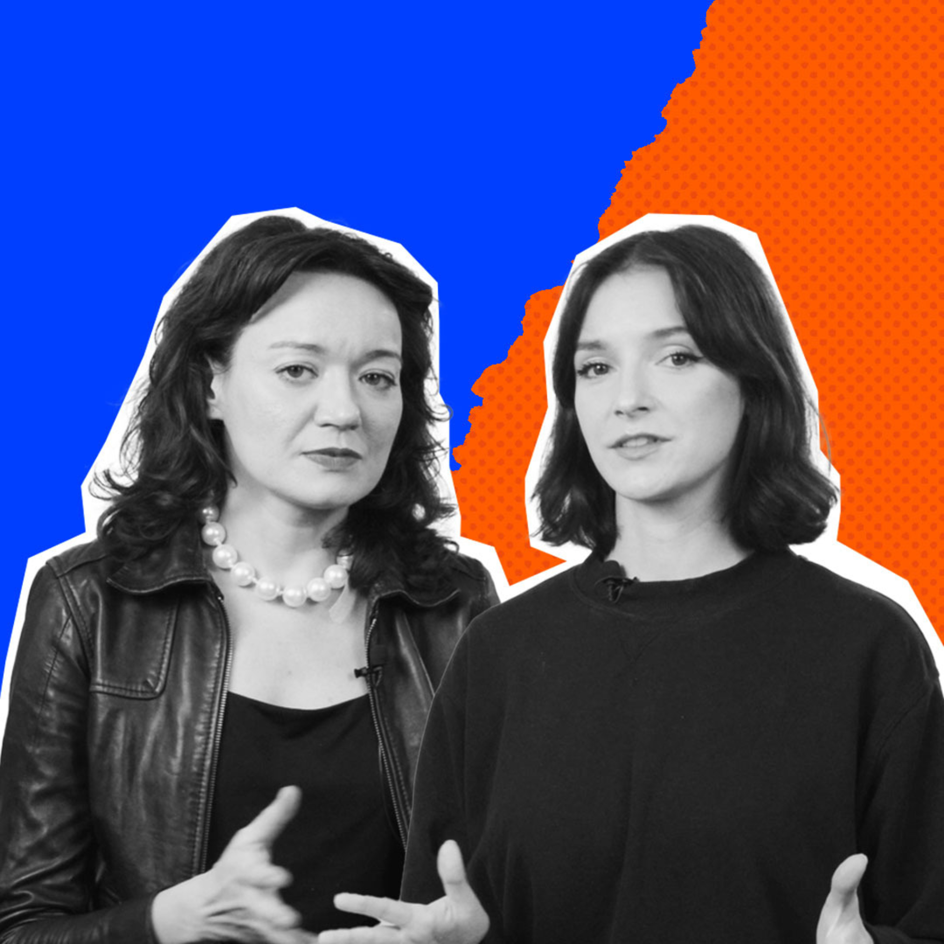 Program Polityczny