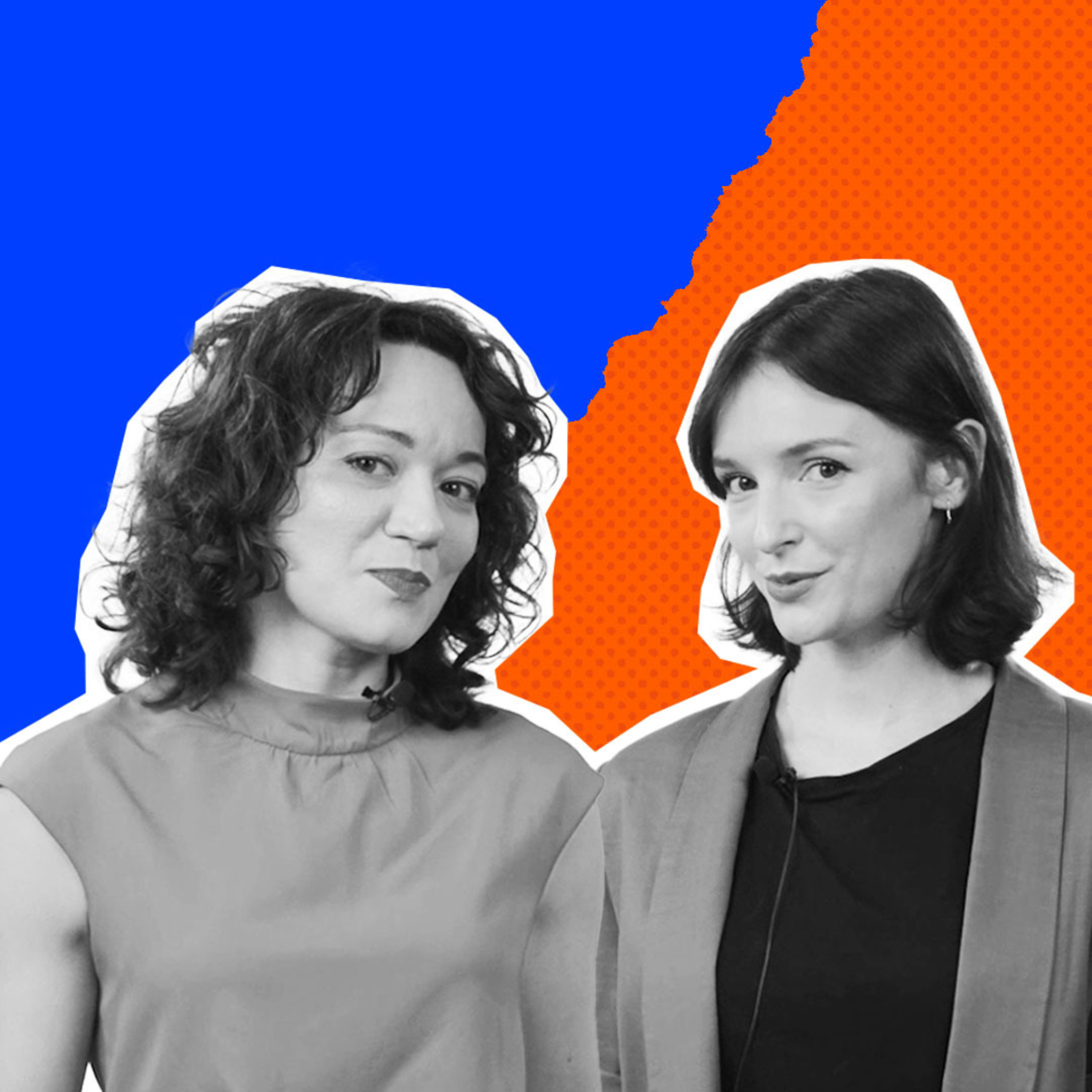Program Polityczny