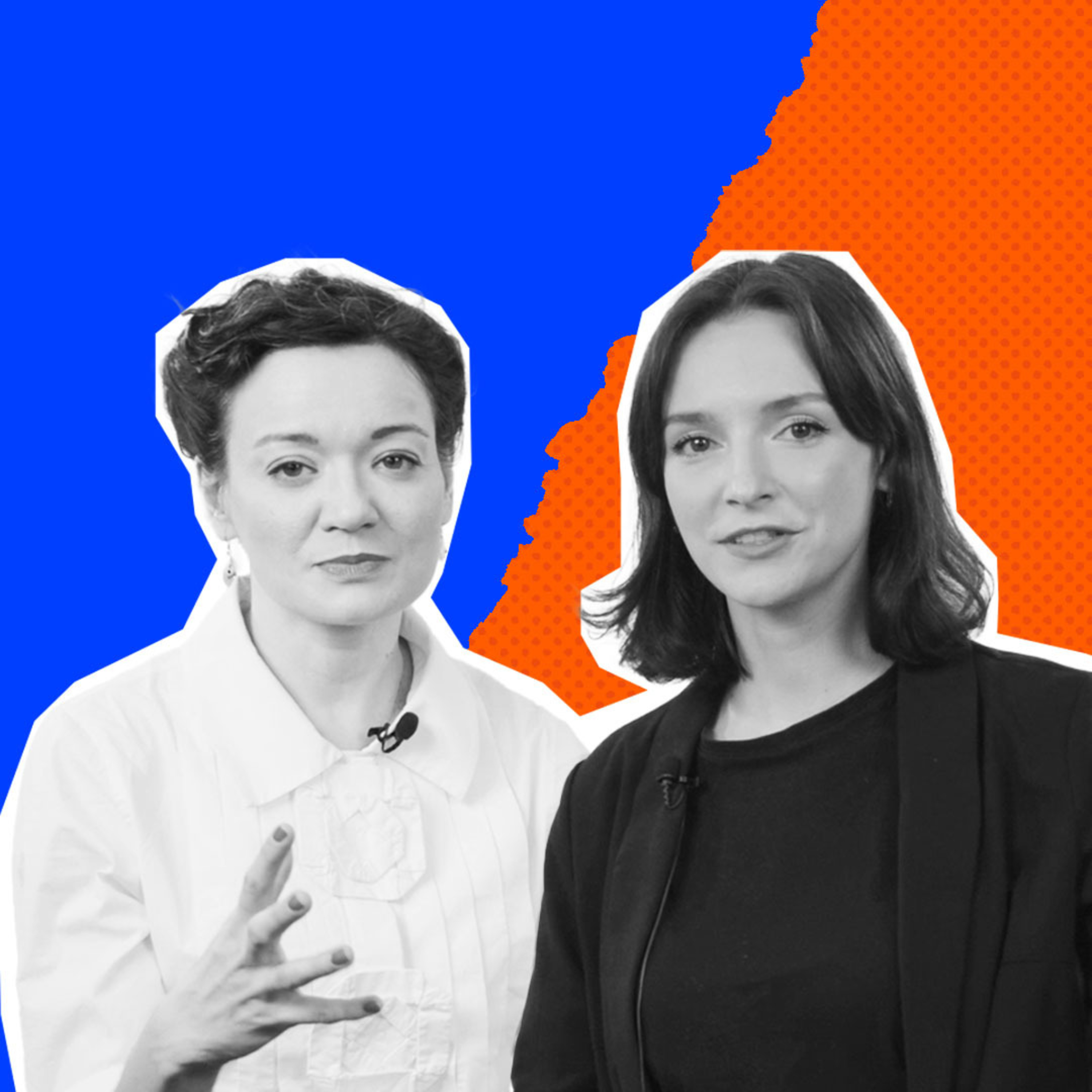 Program Polityczny