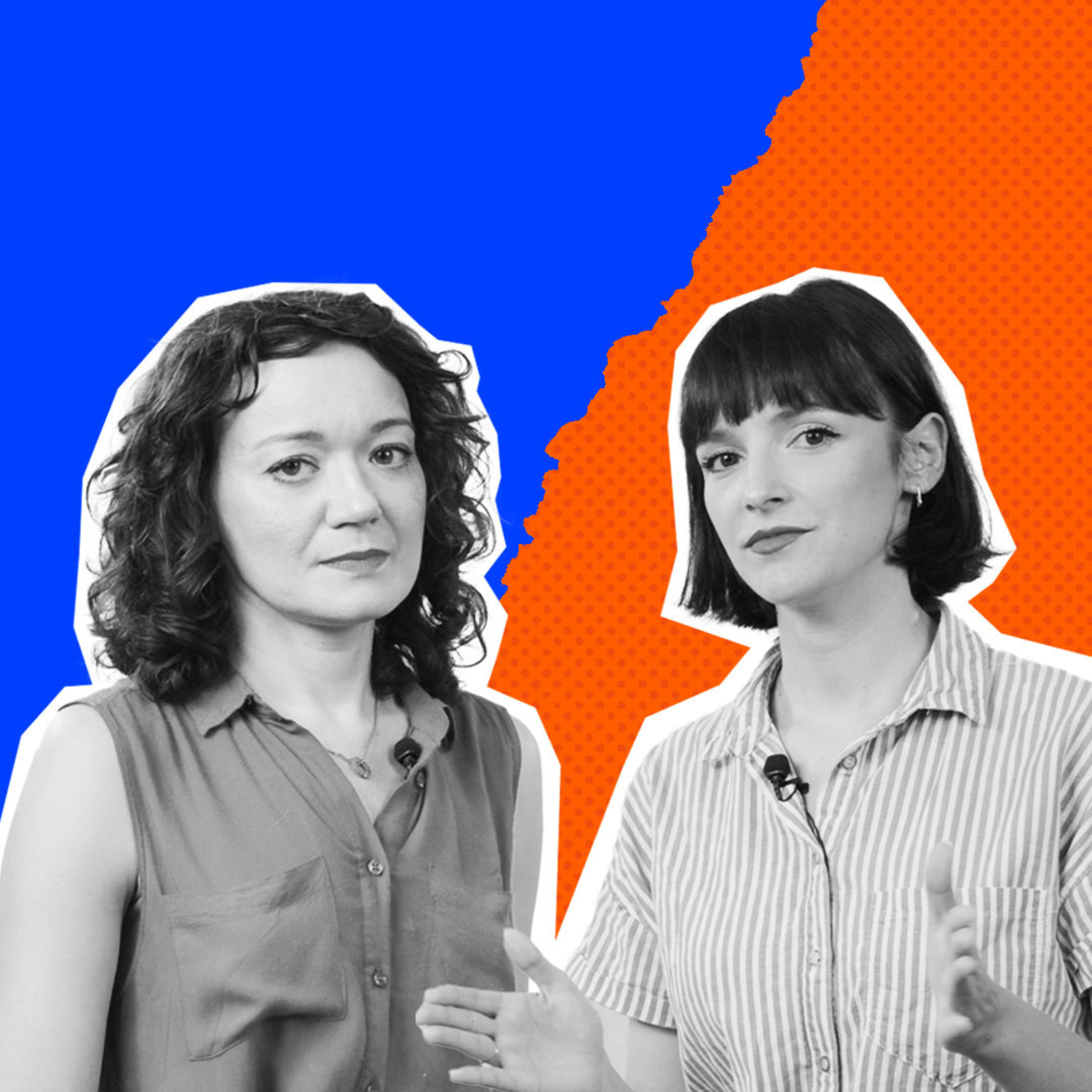 Program Polityczny