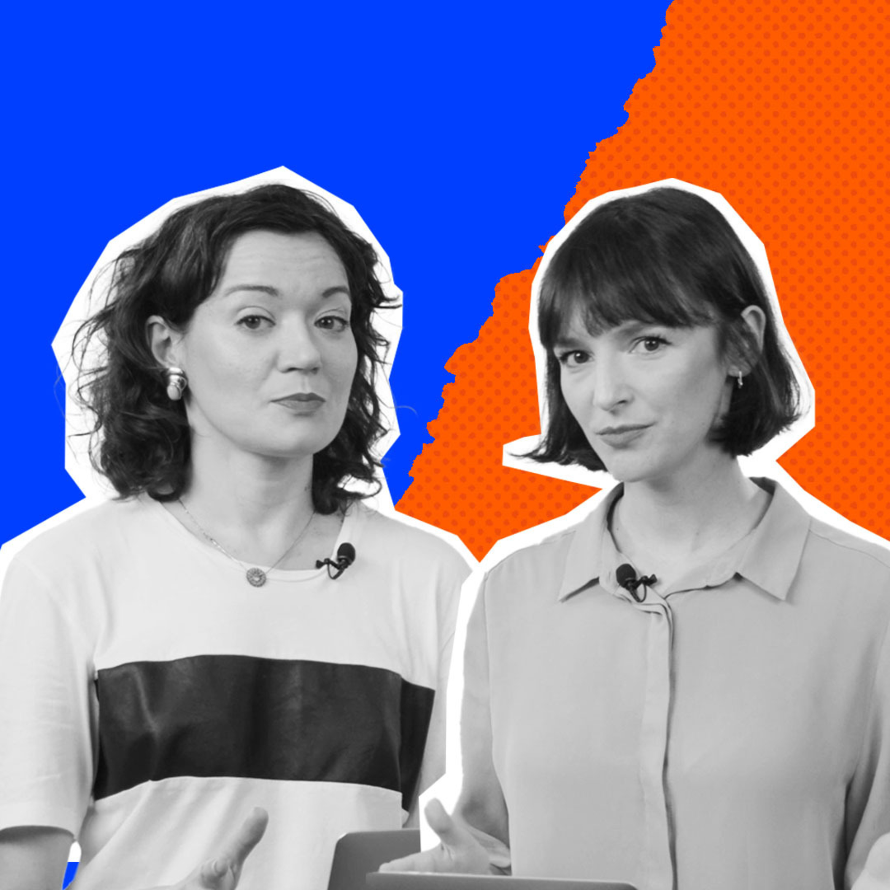 Program Polityczny