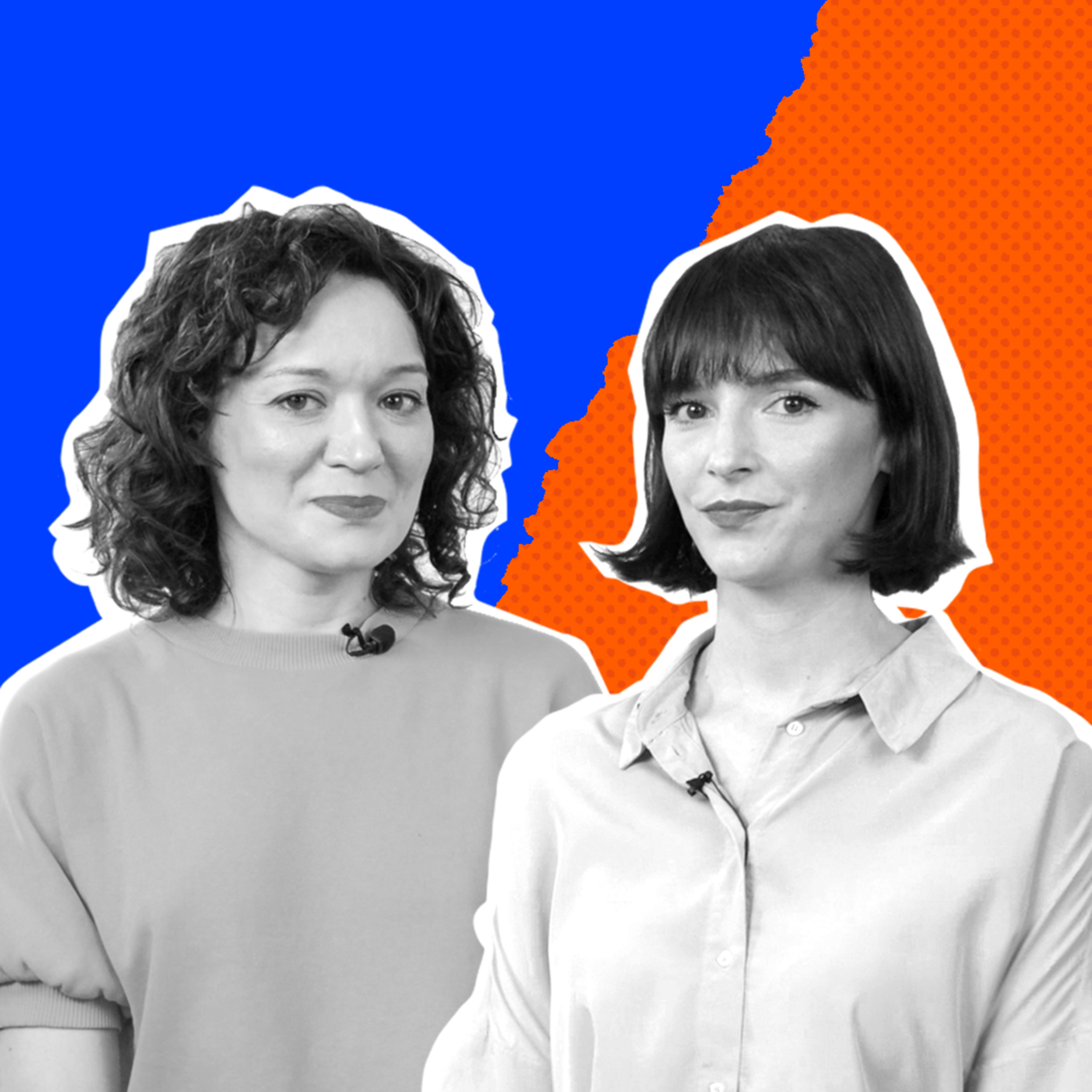 Program Polityczny
