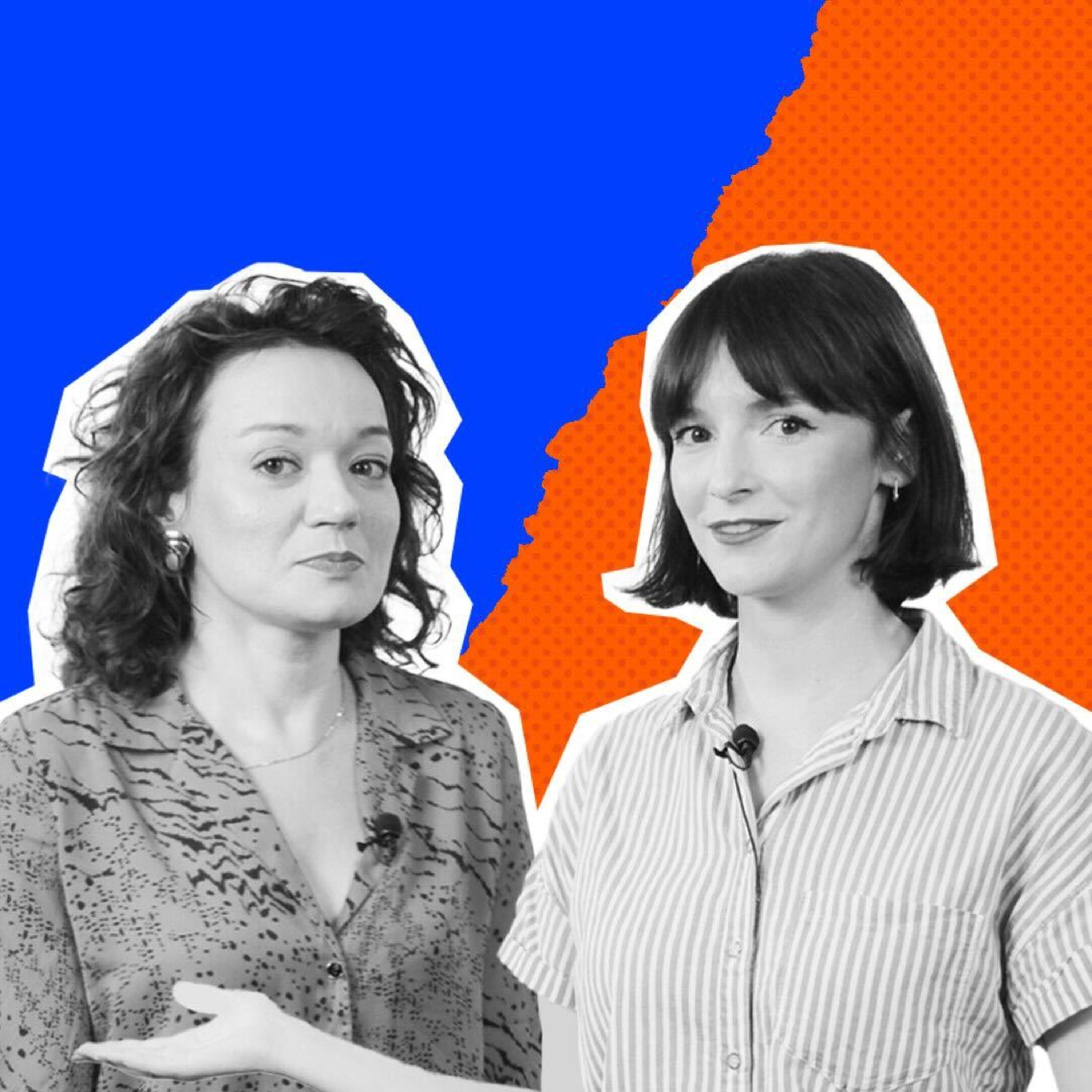 Program Polityczny