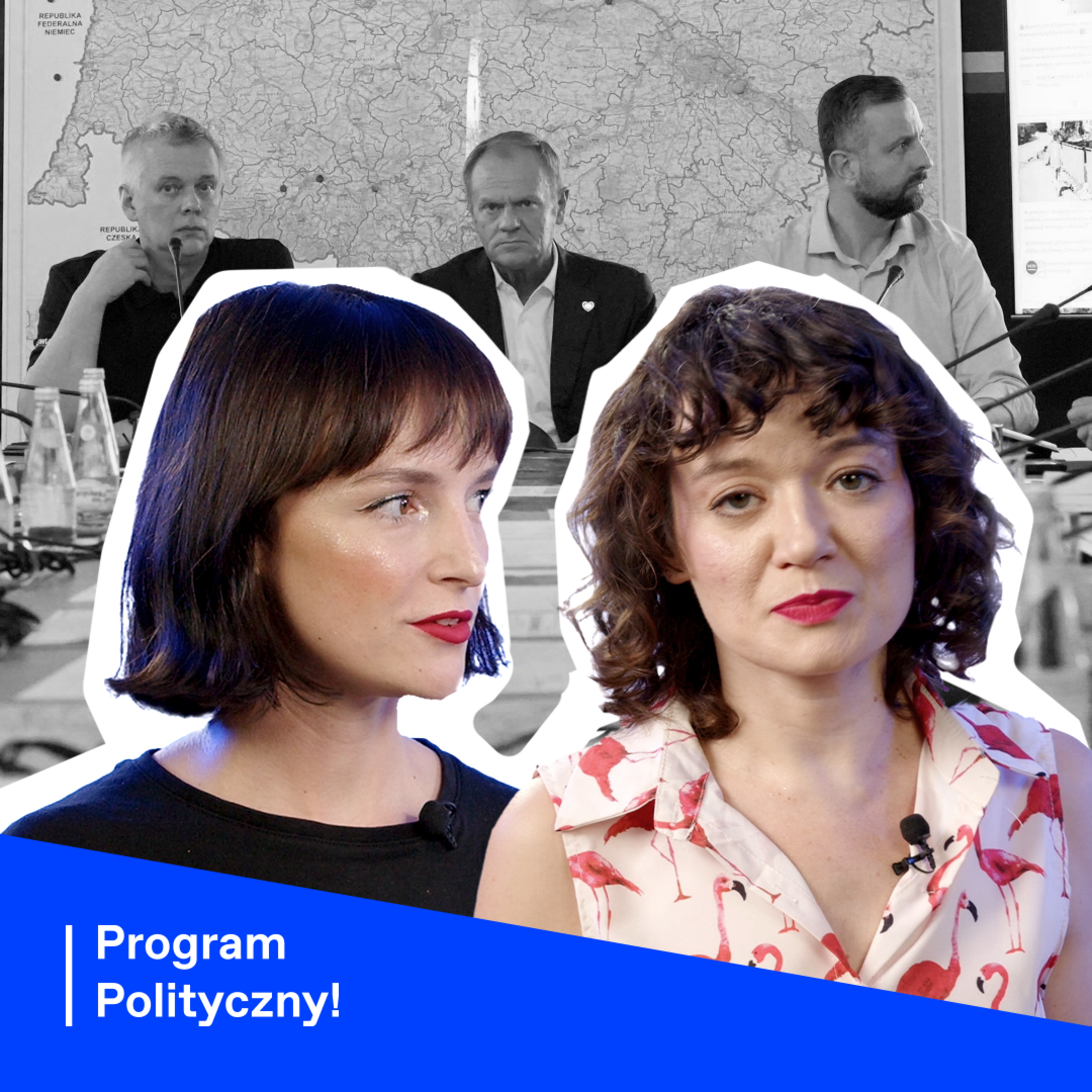 Program Polityczny