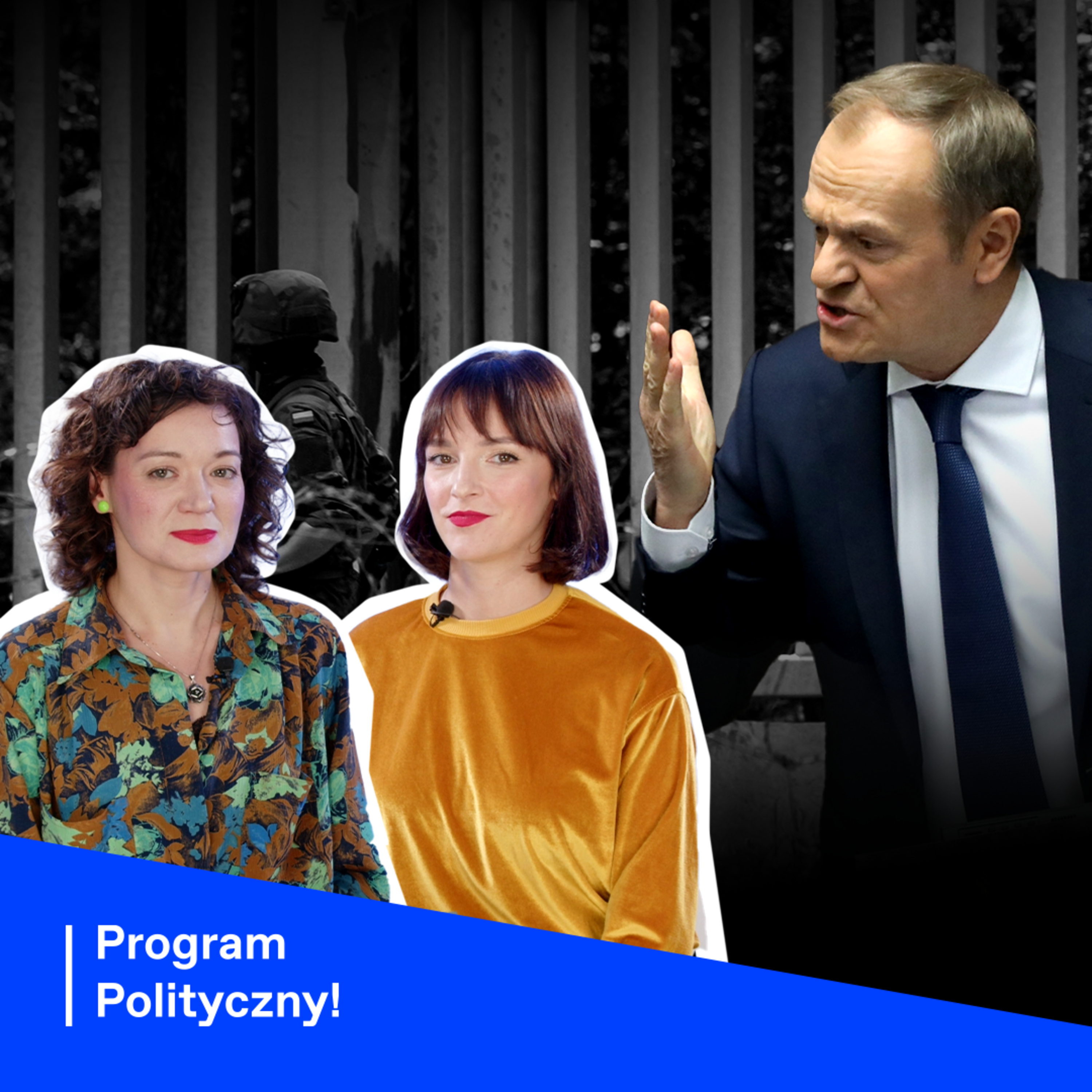Program Polityczny