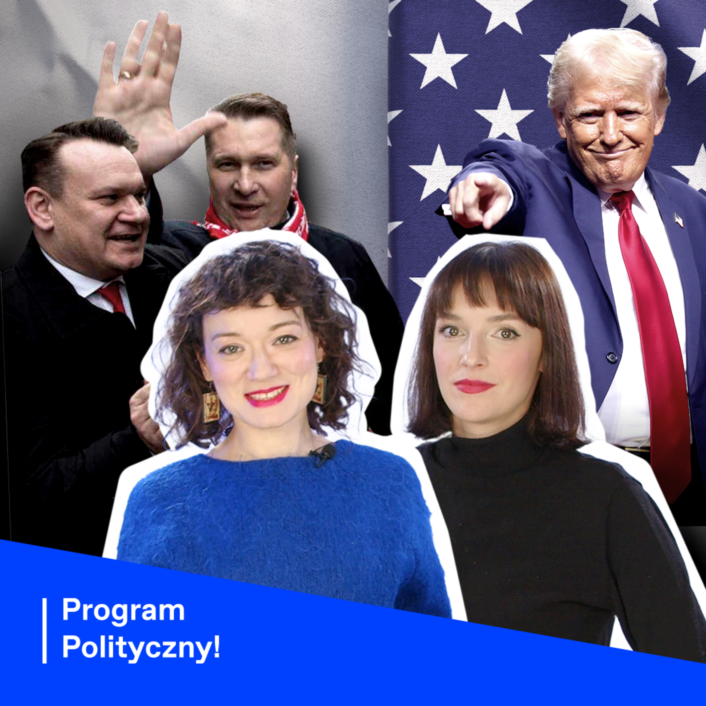 Program Polityczny