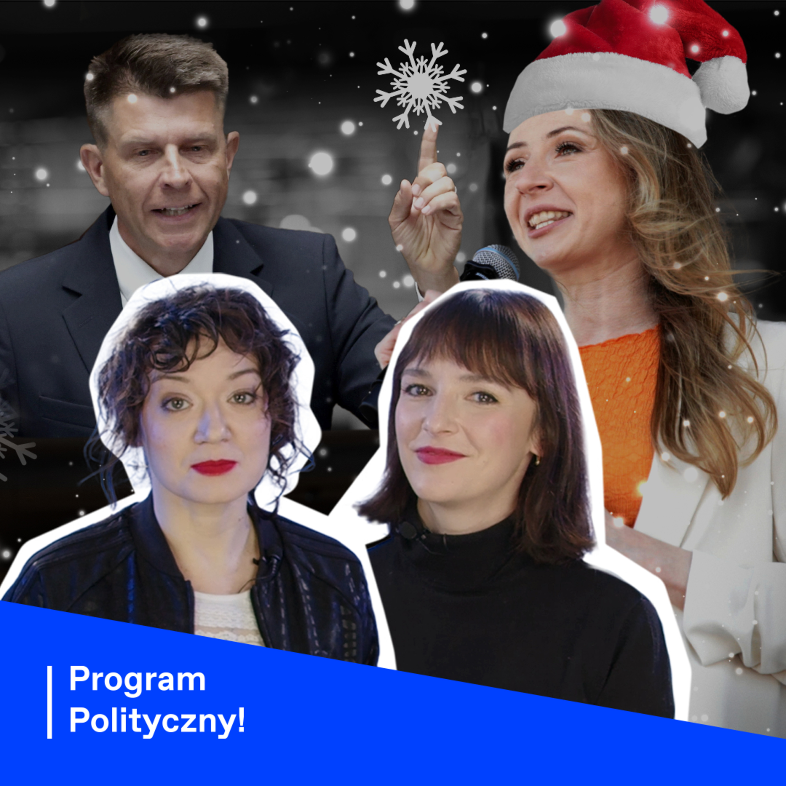 Program Polityczny