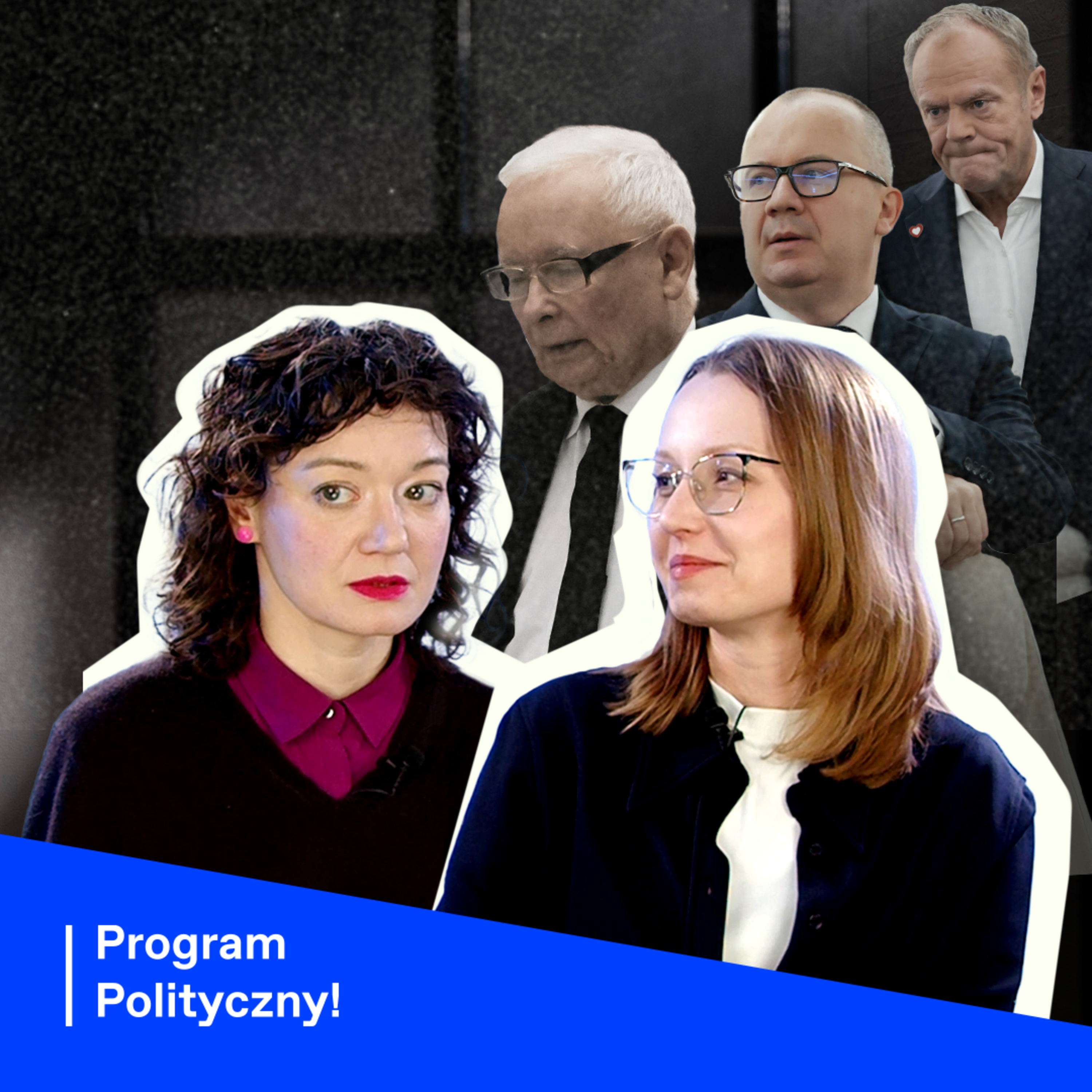 Program Polityczny