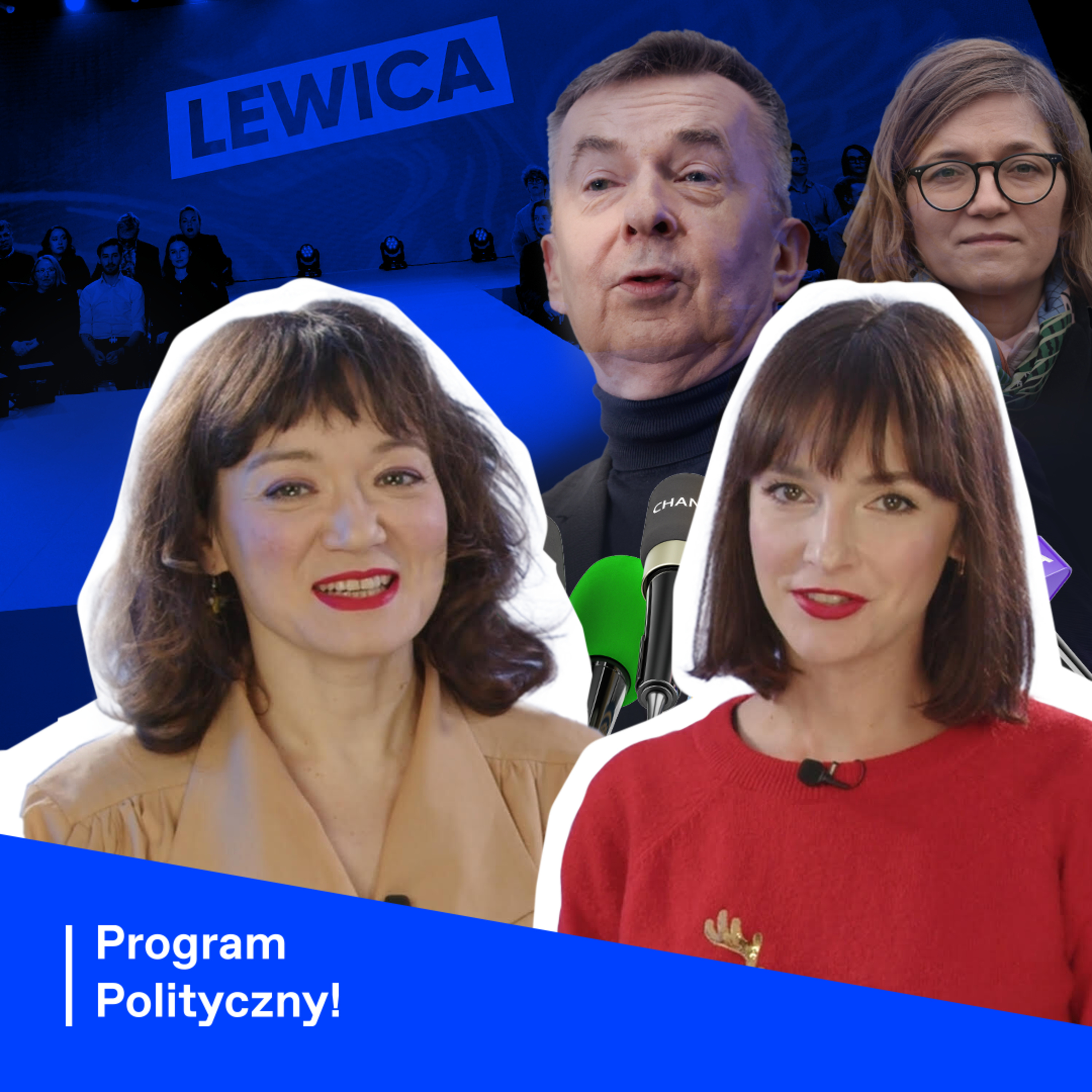 Program Polityczny