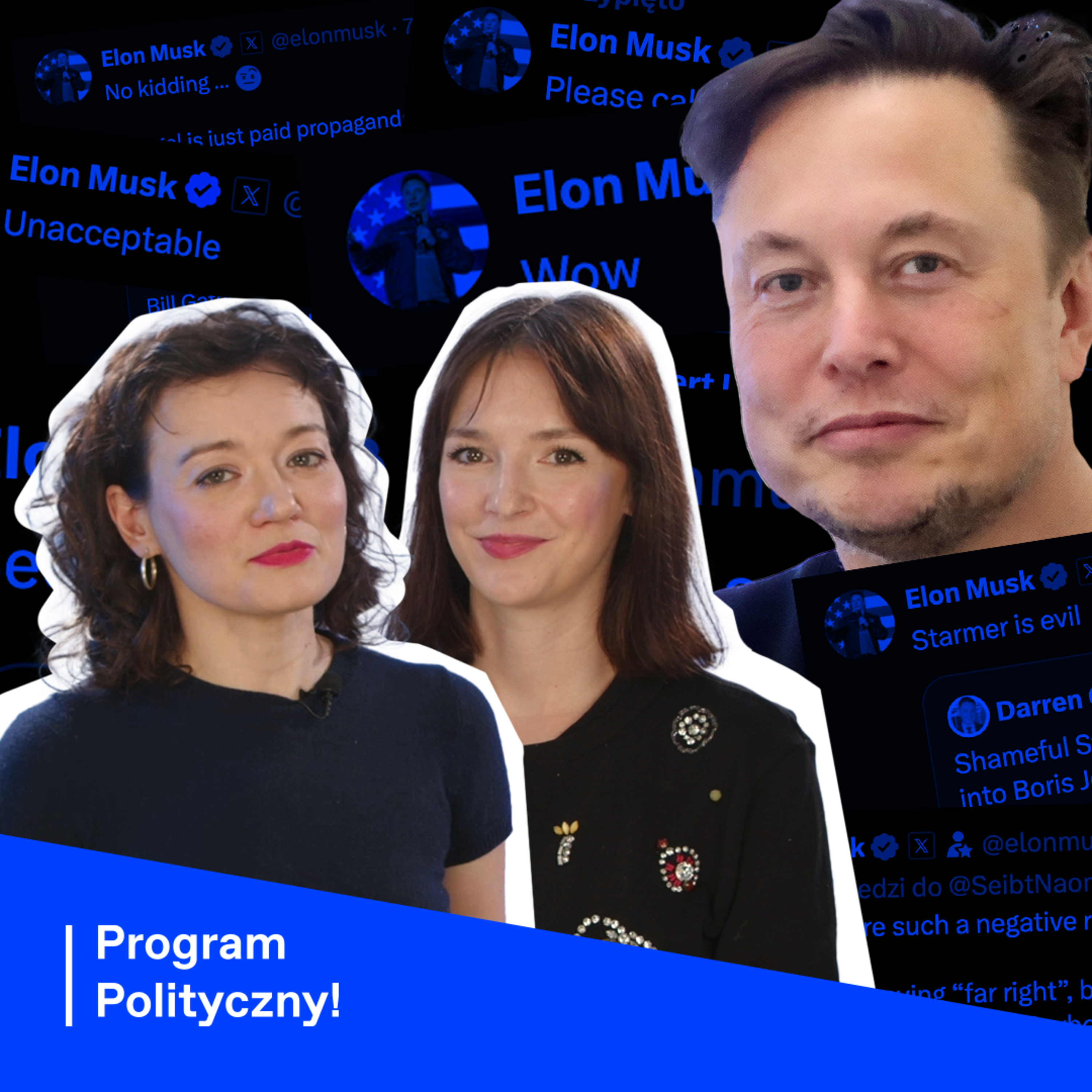 Program Polityczny