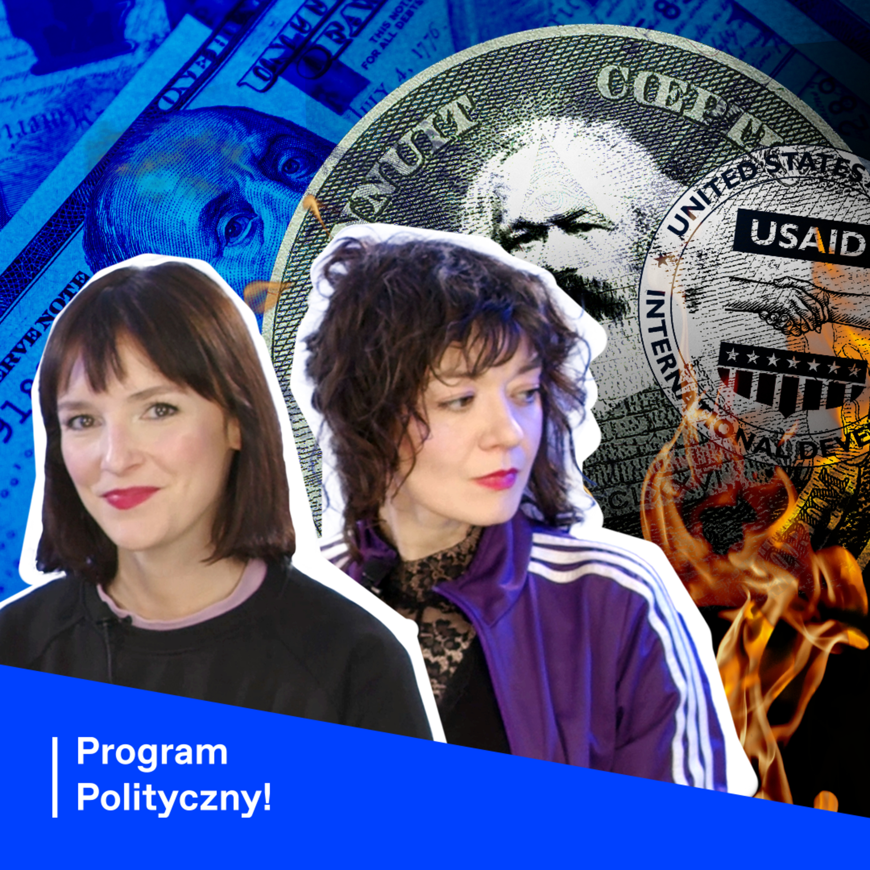 Program Polityczny