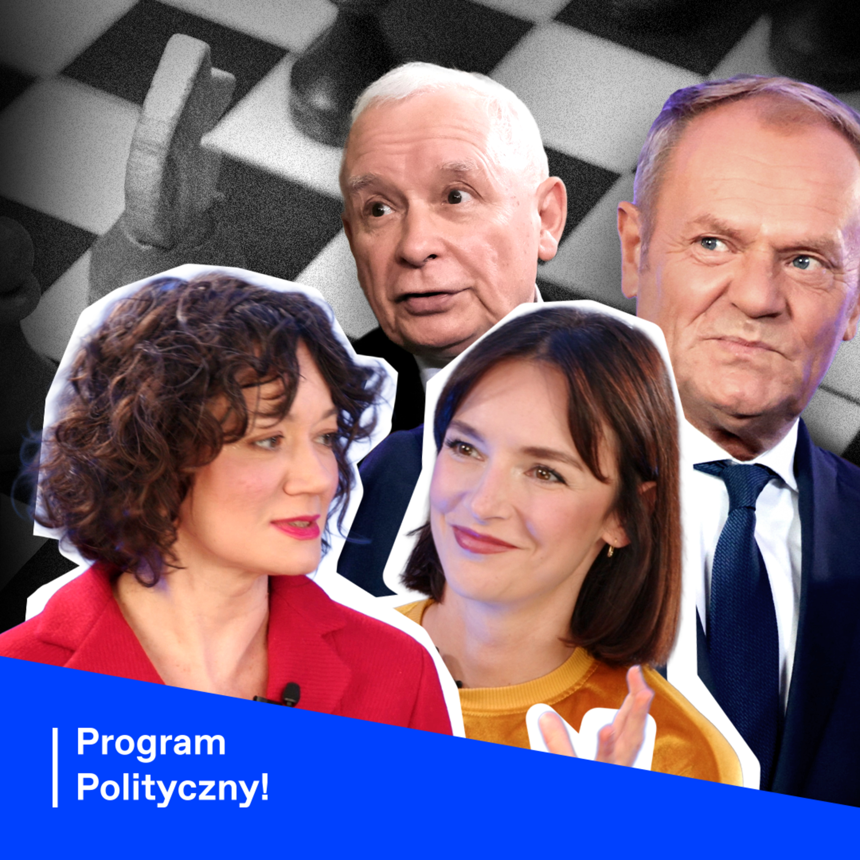 Program Polityczny