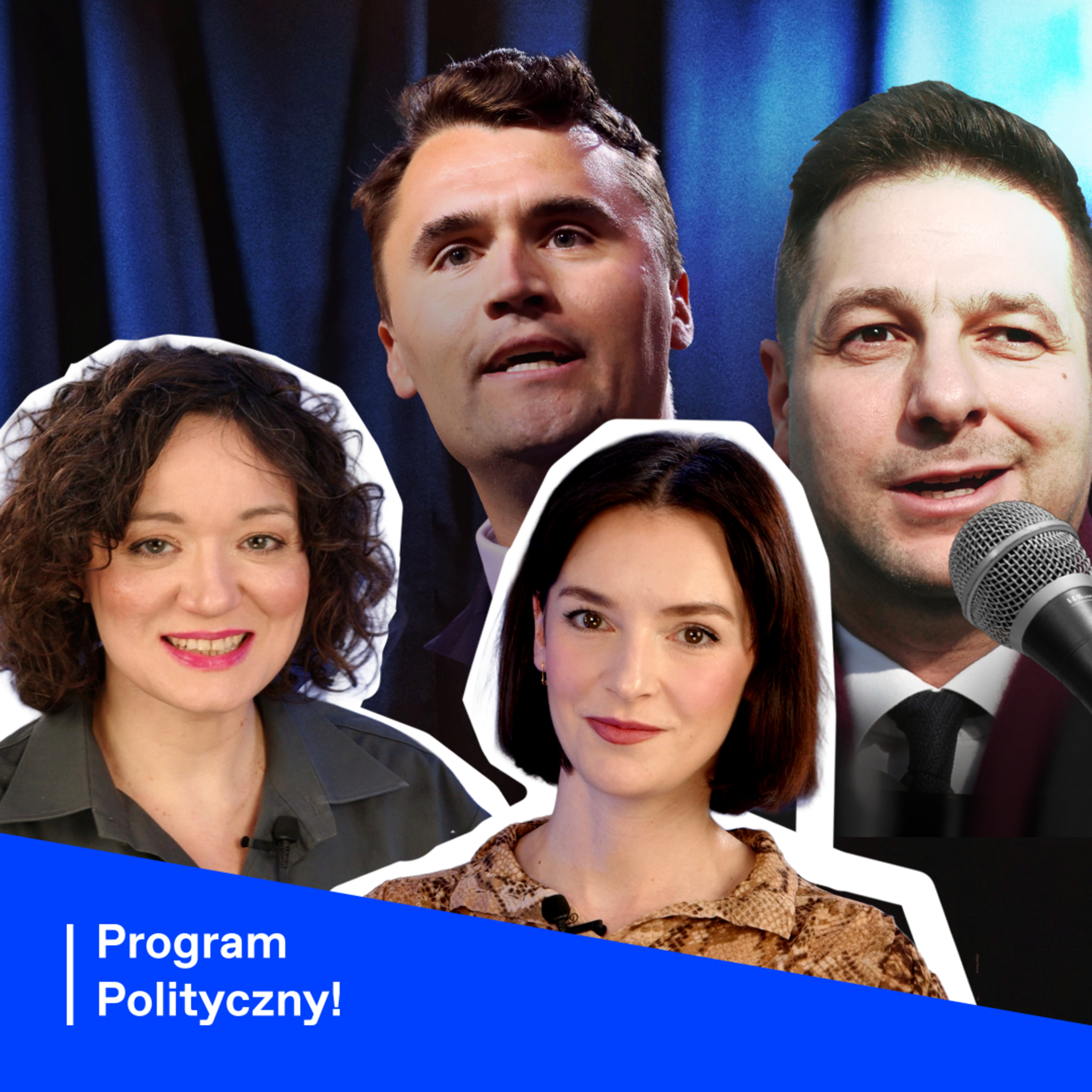 Program Polityczny