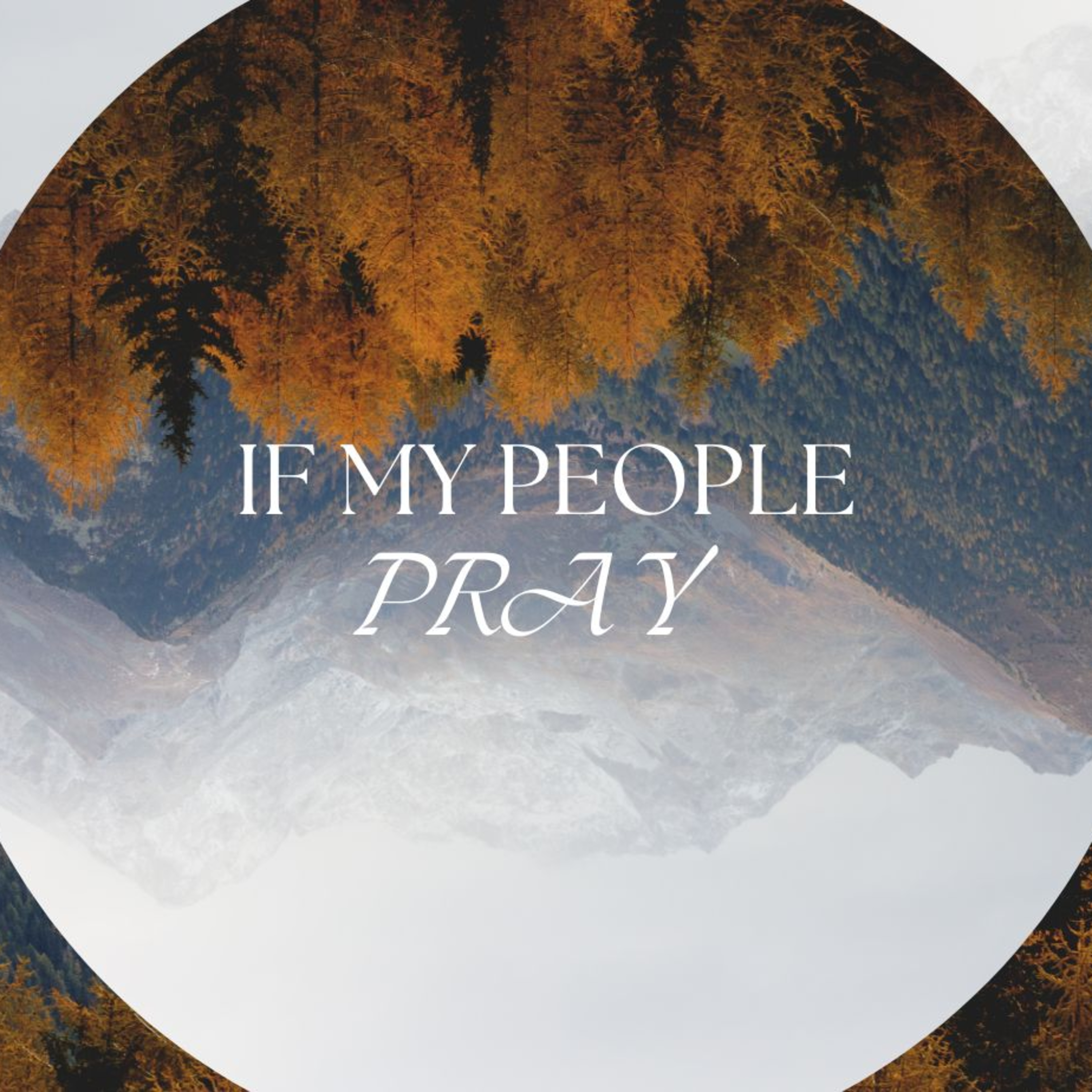 New Life Coralville Podcast