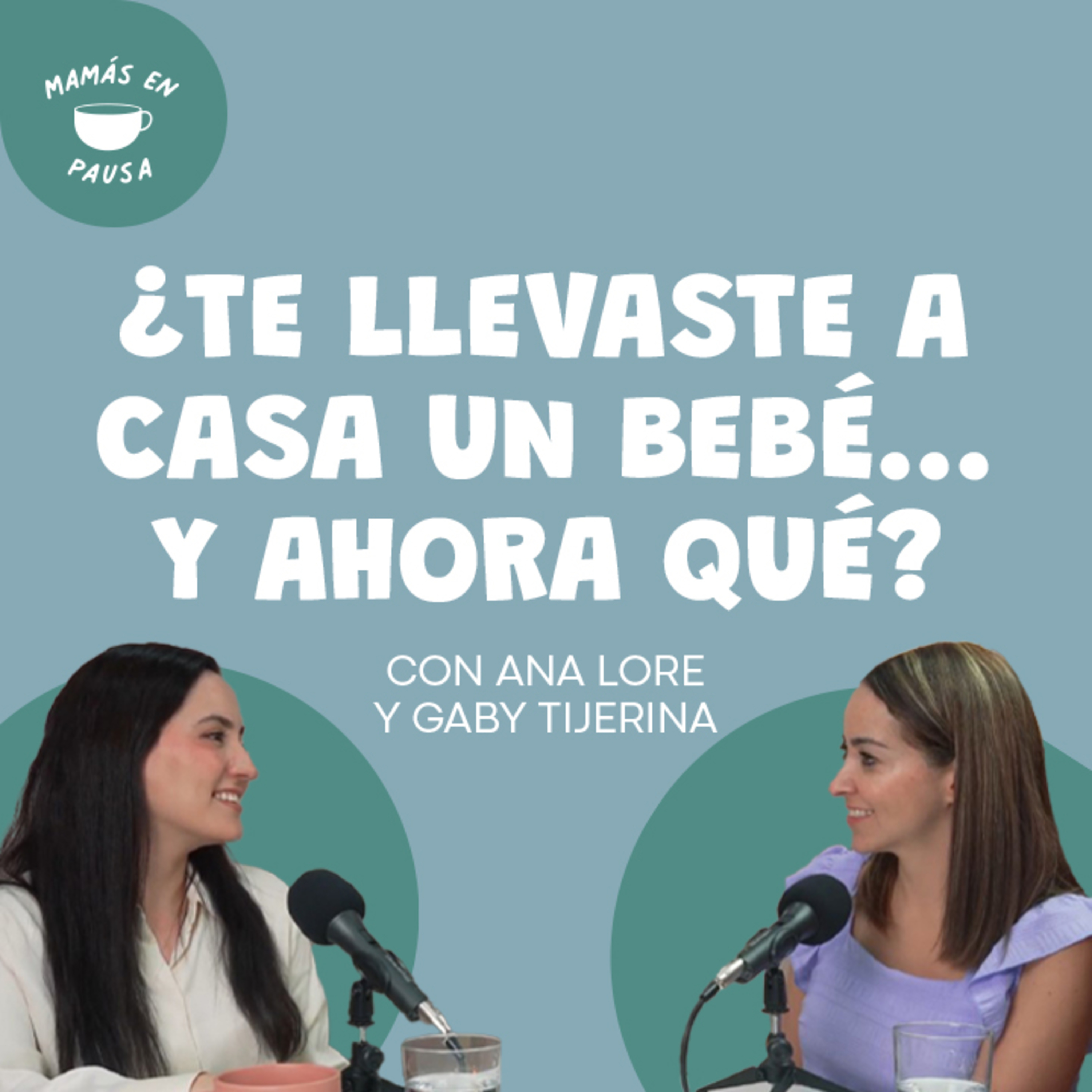 ¿Te llevaste un bebé a casa... y ahora qué? episode artwork