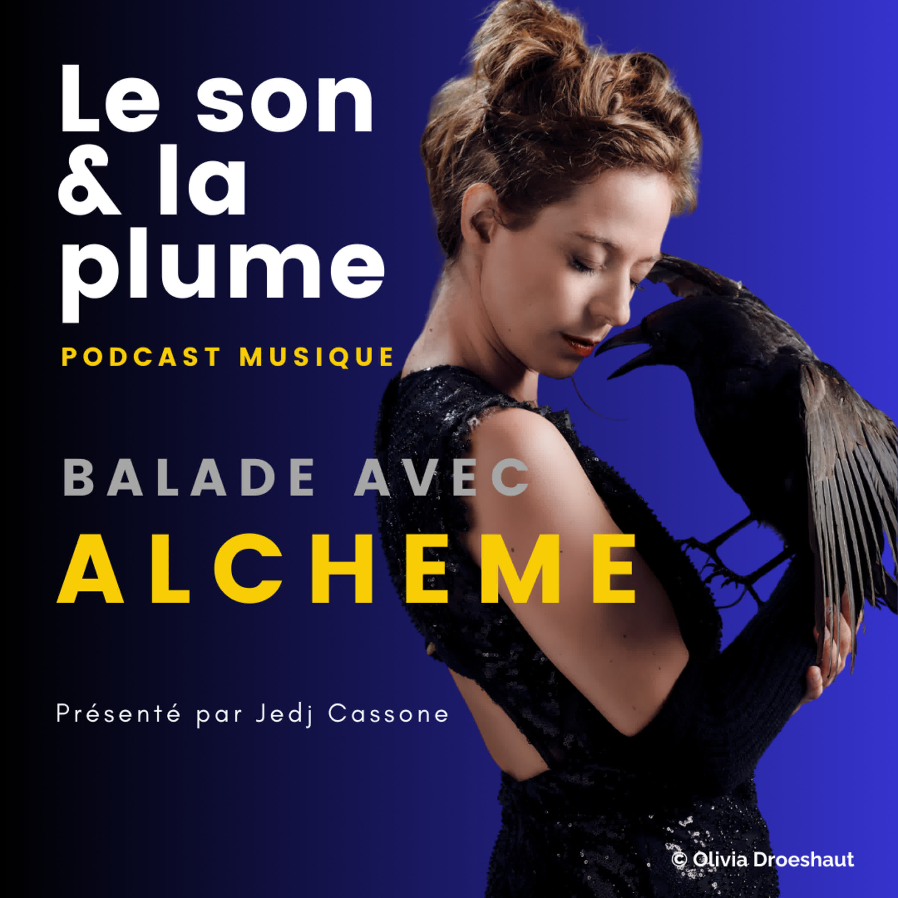 Balade avec Alcheme