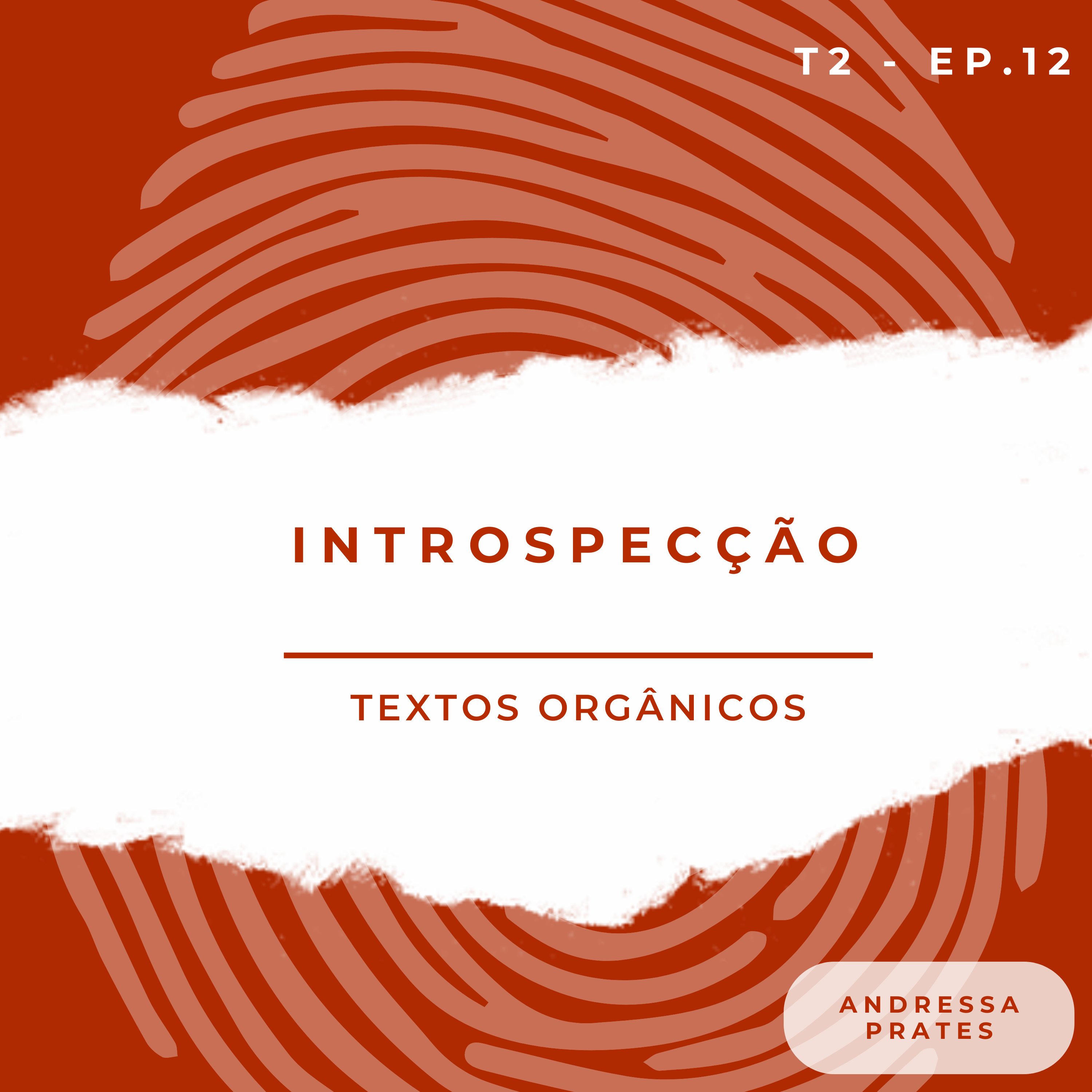 Introspecção episode artwork