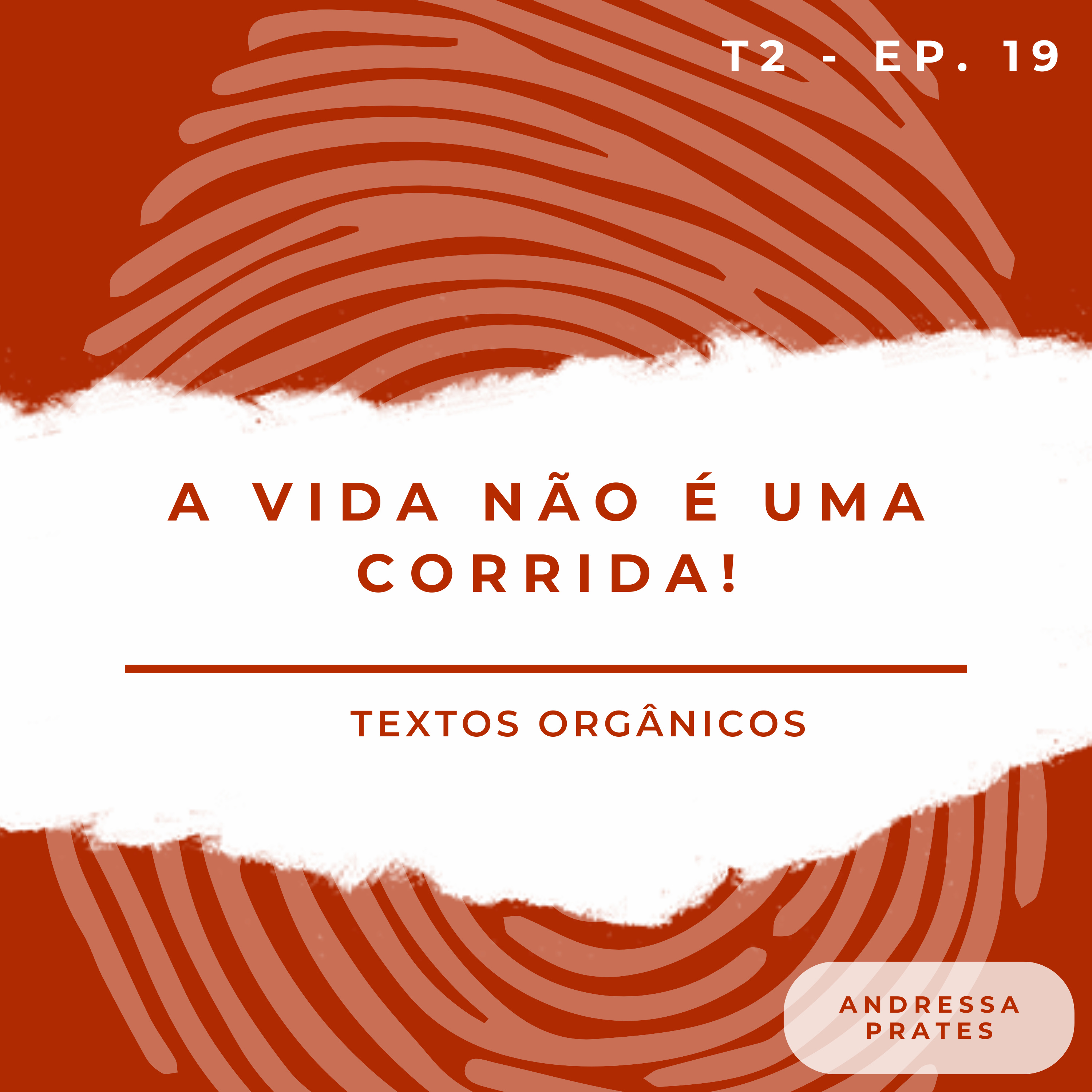 A vida não é uma corrida episode artwork