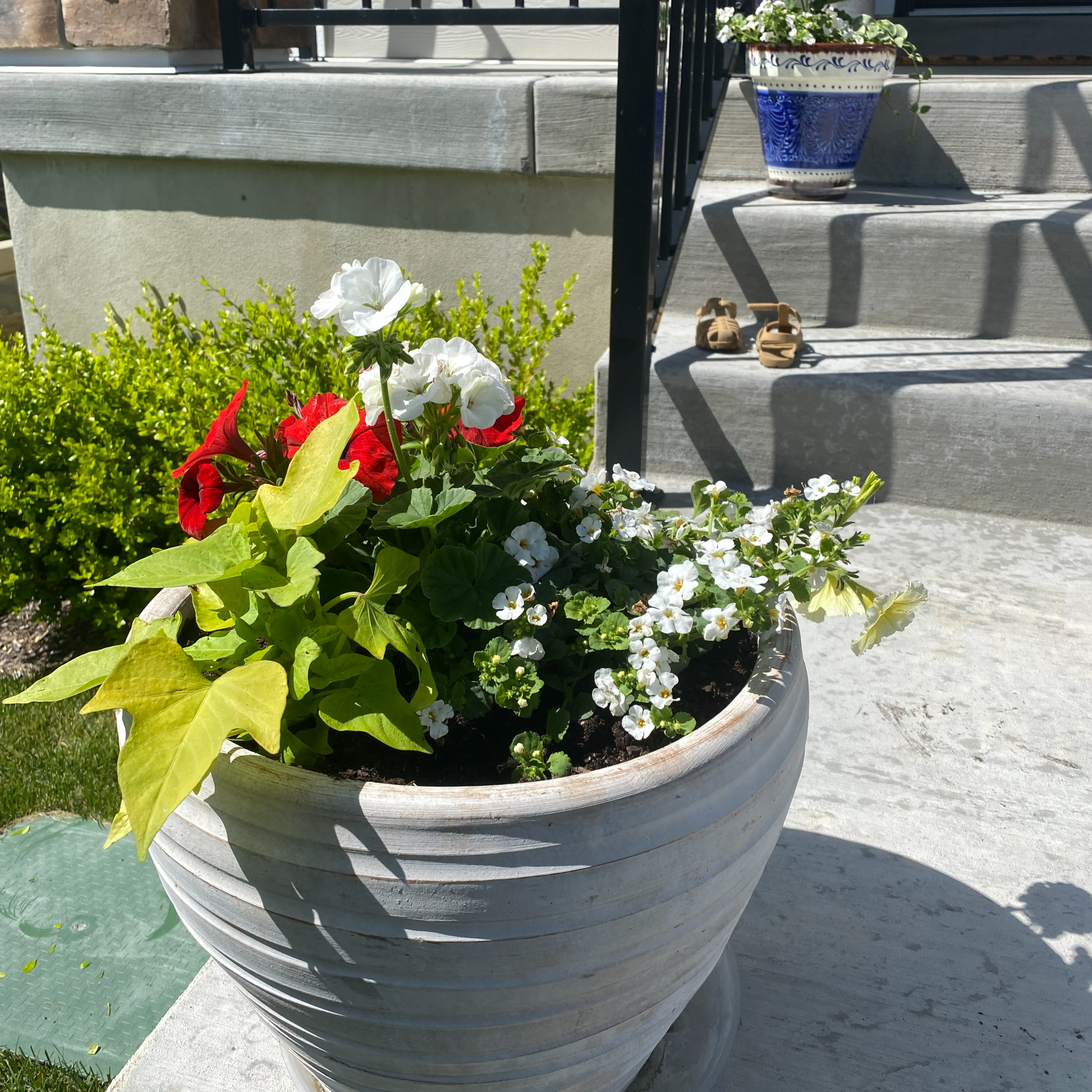 37. My YouTube break, an "i can't believe i just did that" moment, a lesson from potting flowers w/my 3 year old & an update on Offline Worldwide.