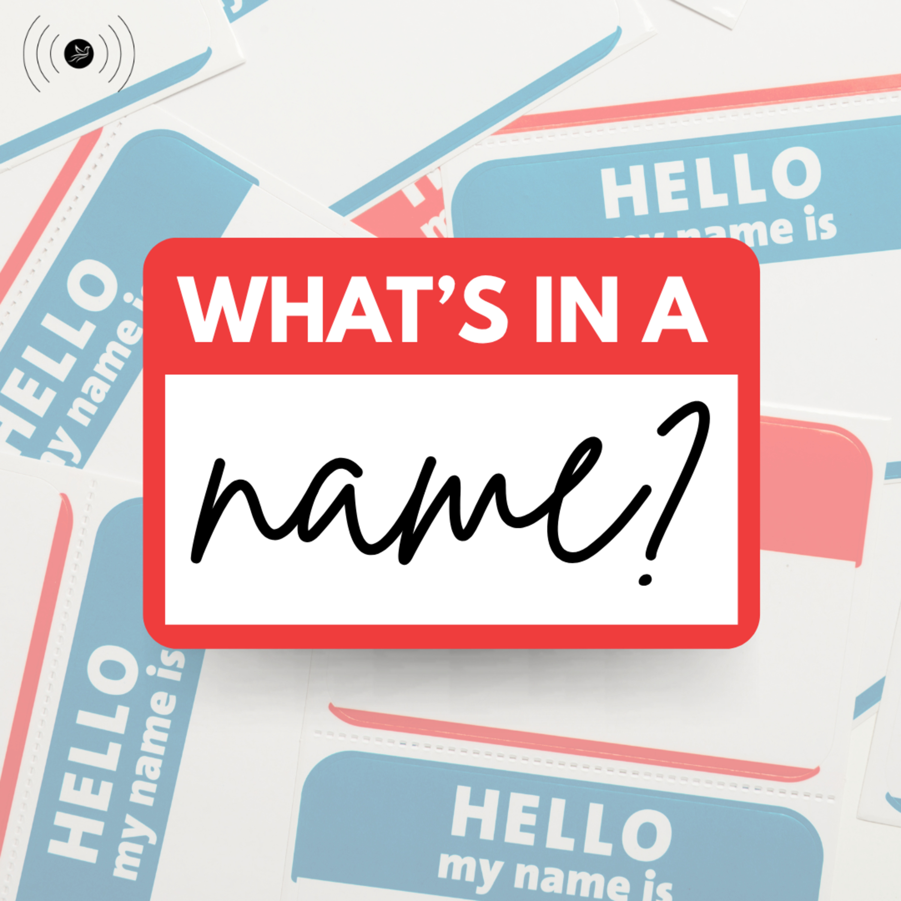 What's in a Name? episode artwork