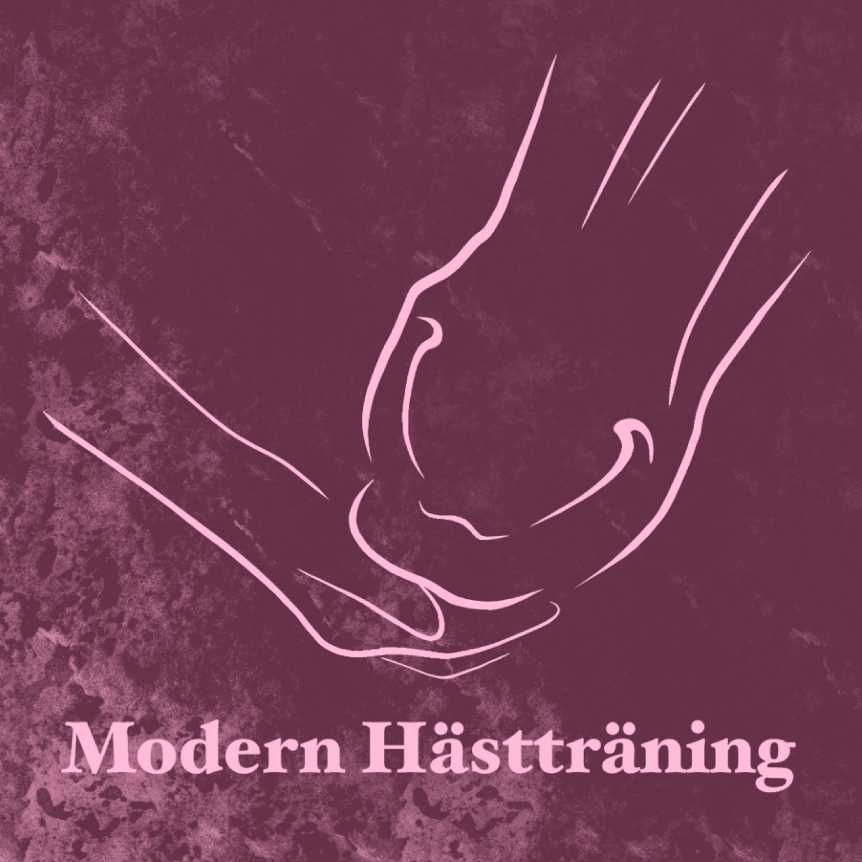 Modern Hästträning
