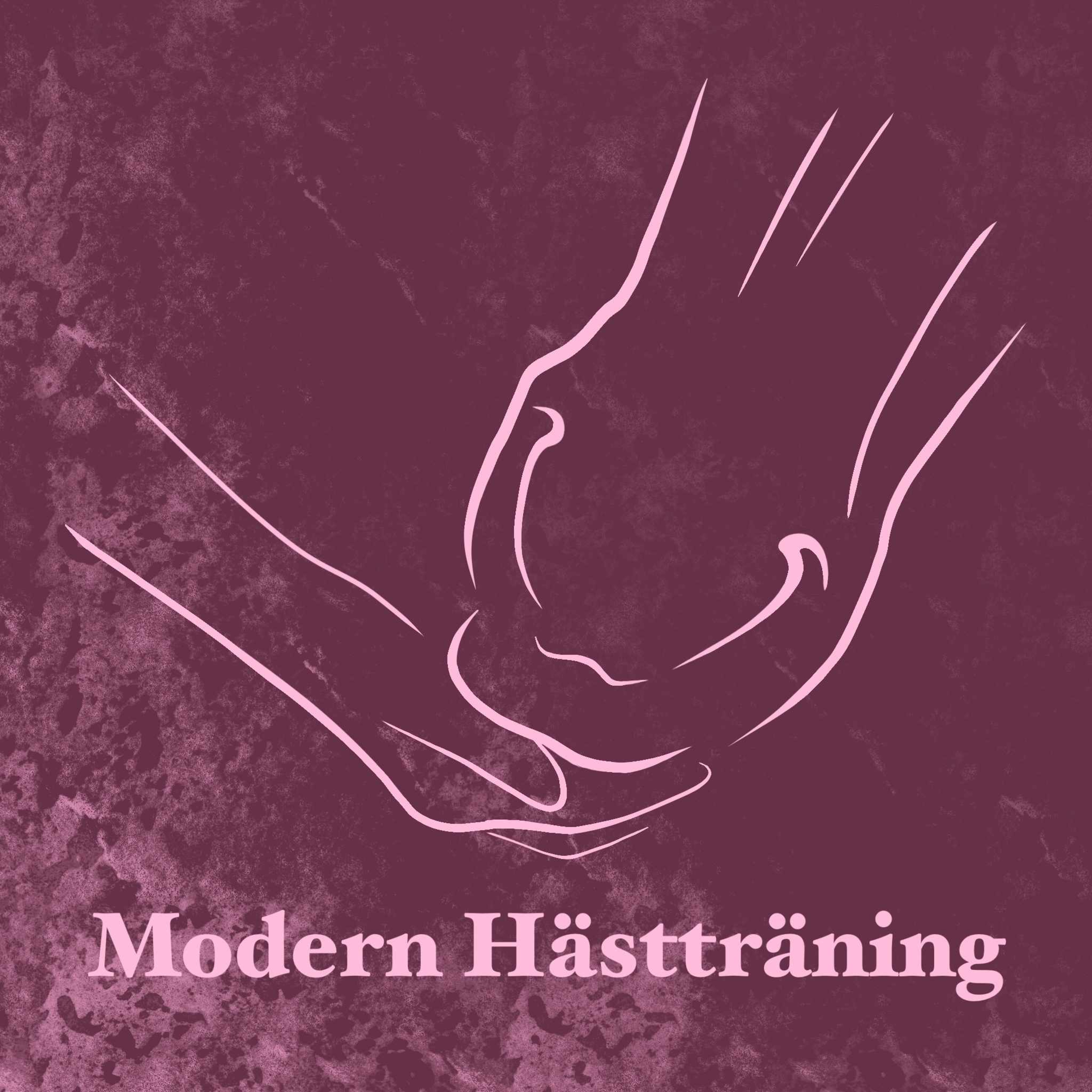 Modern Hästträning